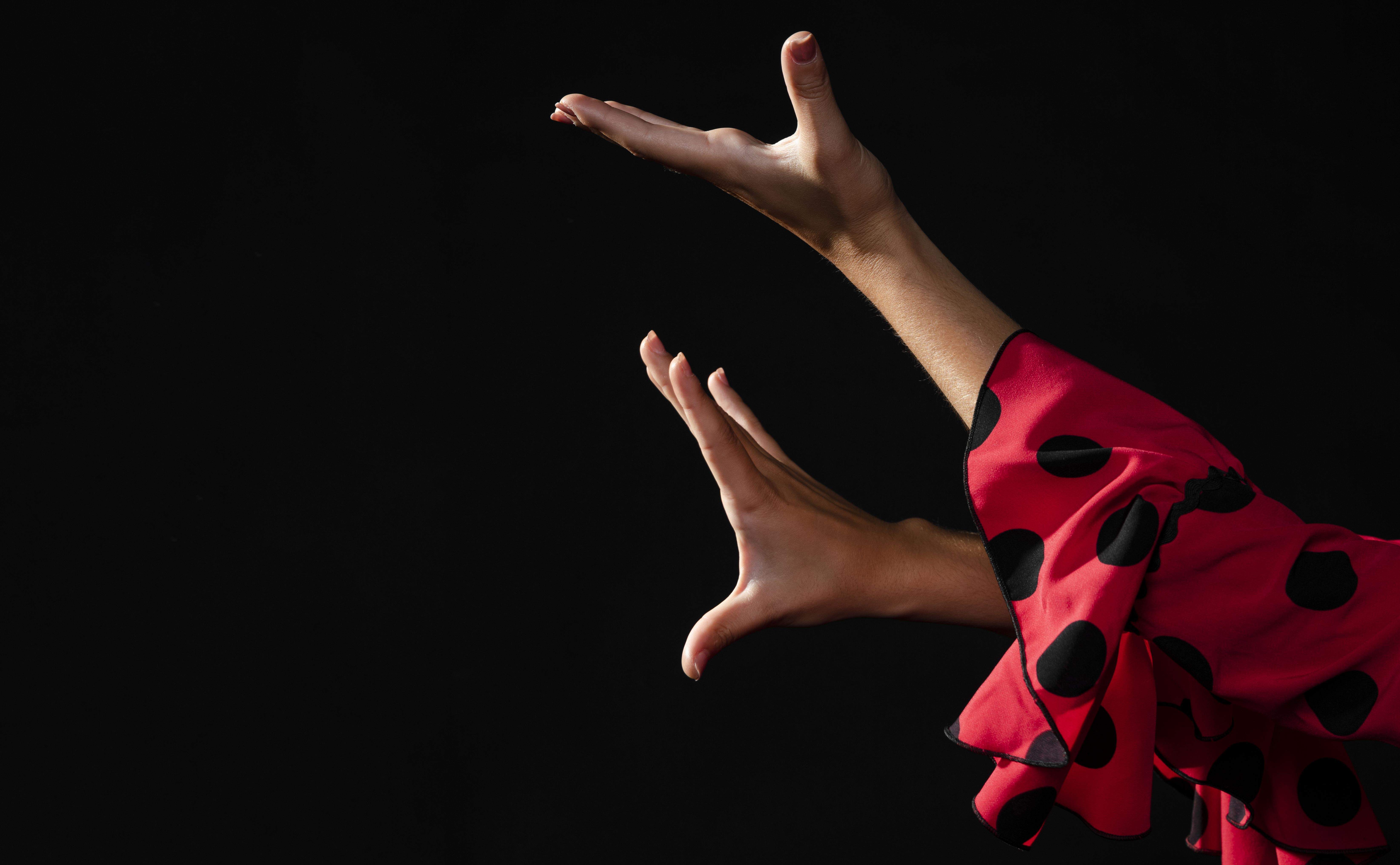 La 'Primavera Flamenca' es uno de los ciclos que se celebran este mayo en Huesca.