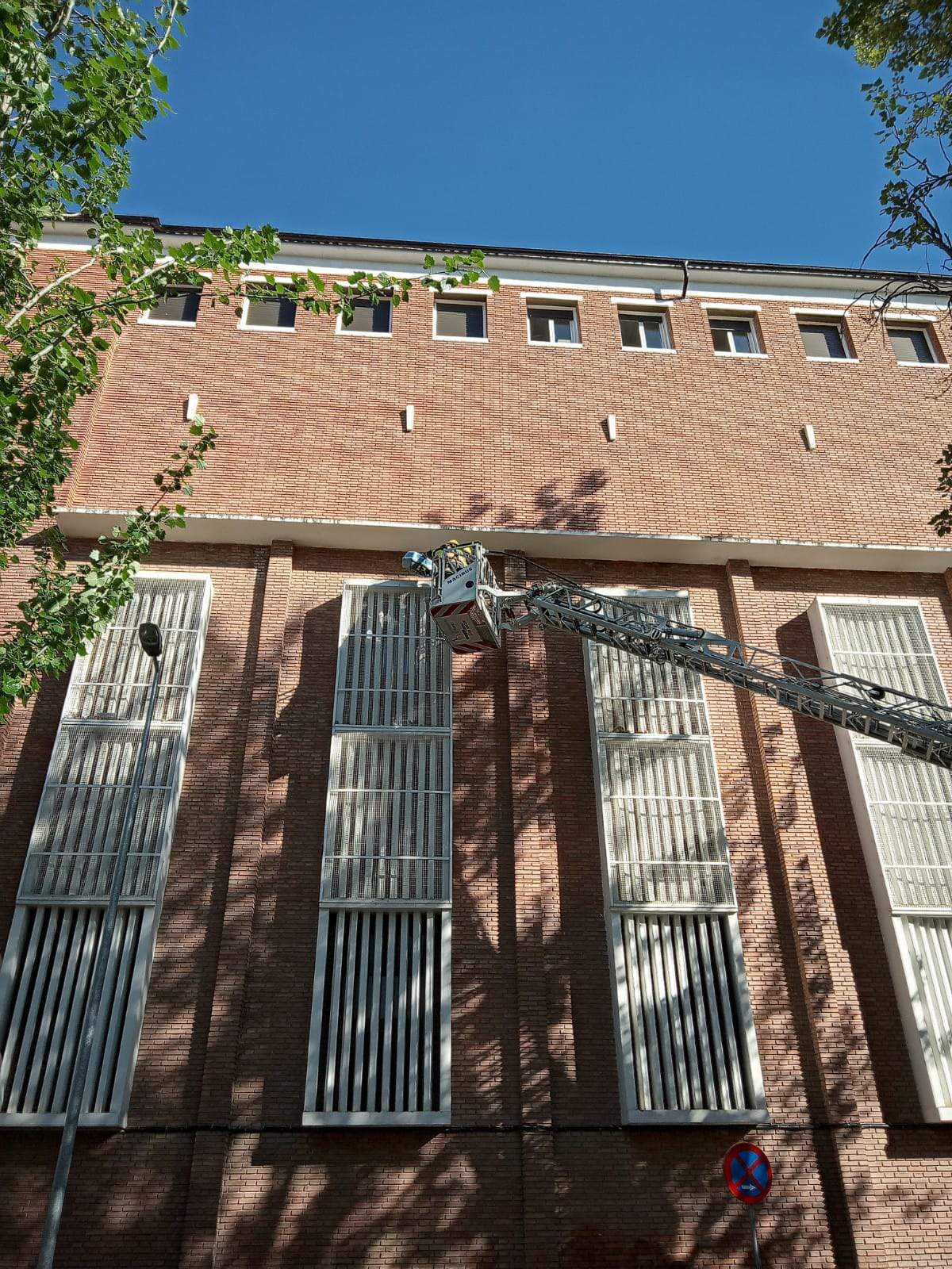 Rescate del loro Tobi en San Viator. Foto Javier Gil
