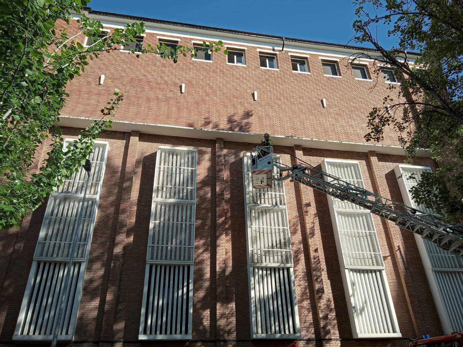 Rescate del loro Tobi en San Viator. Foto Javier Gil