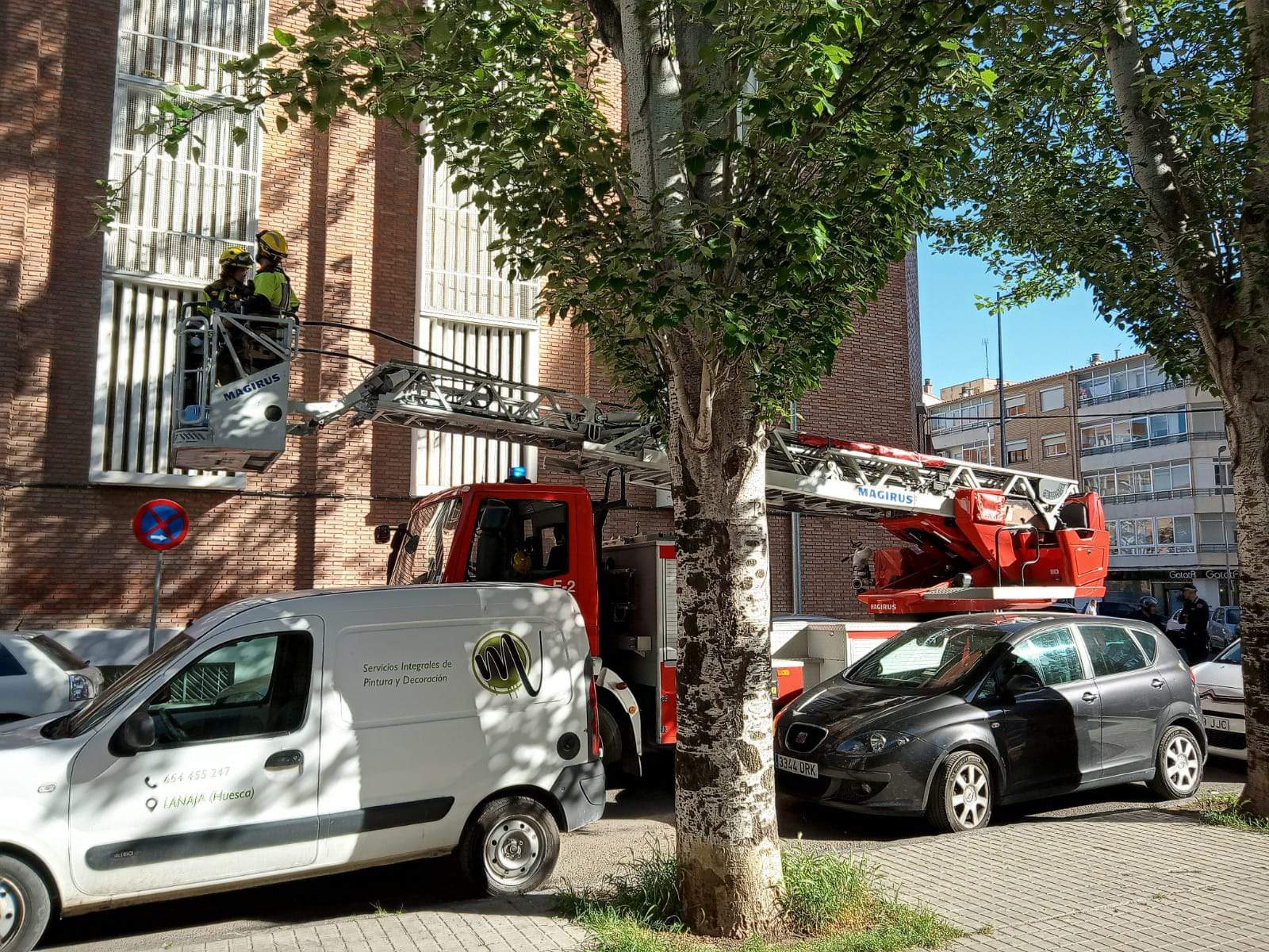 Rescate del loro Tobi en San Viator. Foto Javier Gil