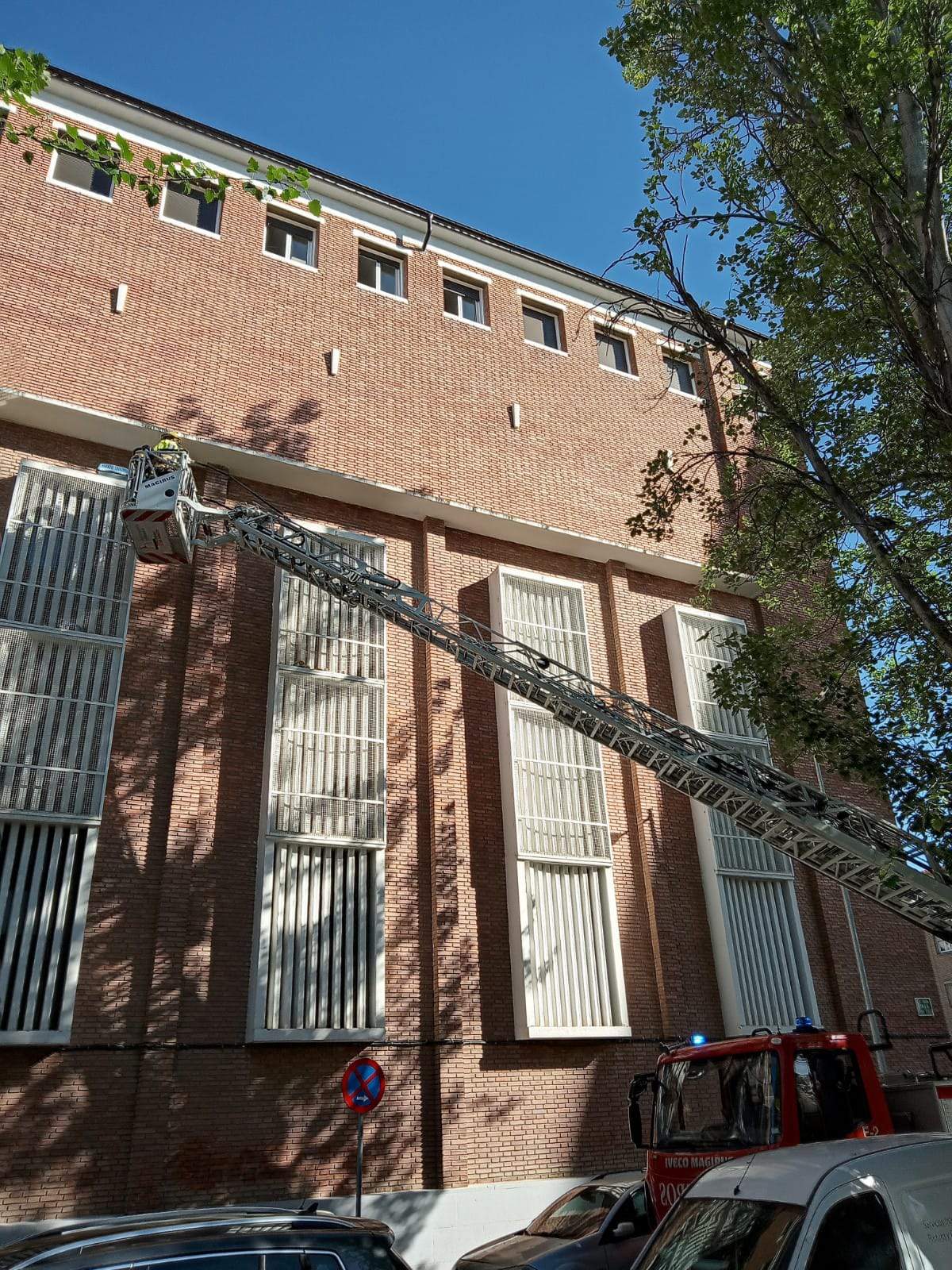 Rescate del loro Tobi en San Viator. Foto Javier Gil