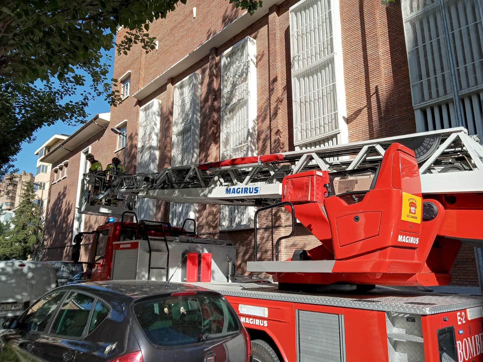 Rescate del loro Tobi en San Viator. Foto Javier Gil