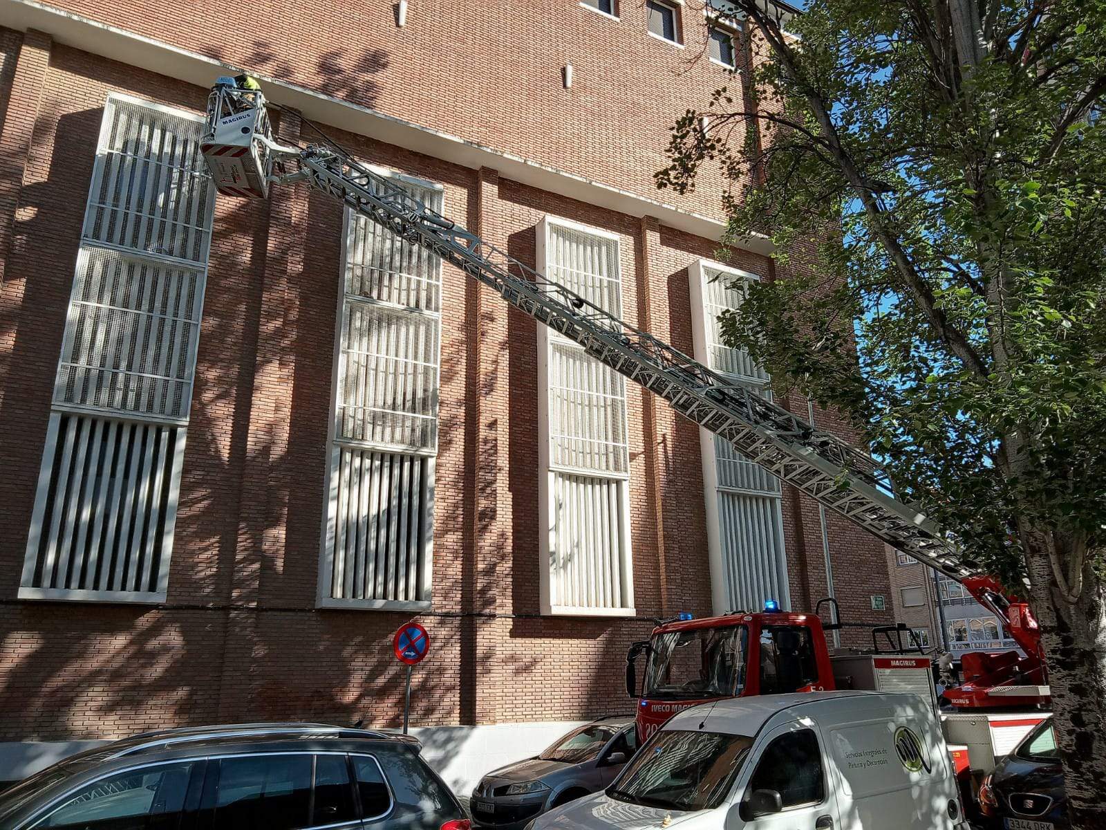 Un bombero rescata a Tobi en San Viator. Foto Javier Gil