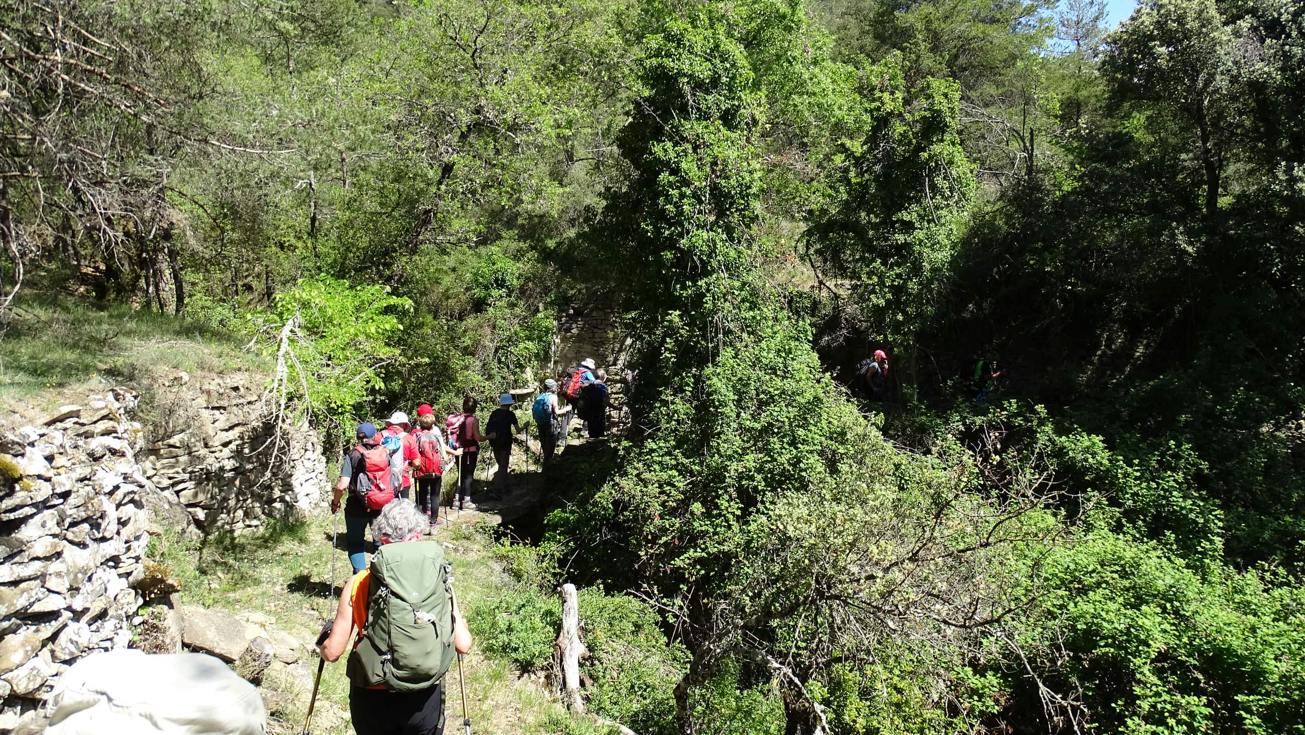 Excursión por el valle de La Fueva. Foto Alfredo Zazo