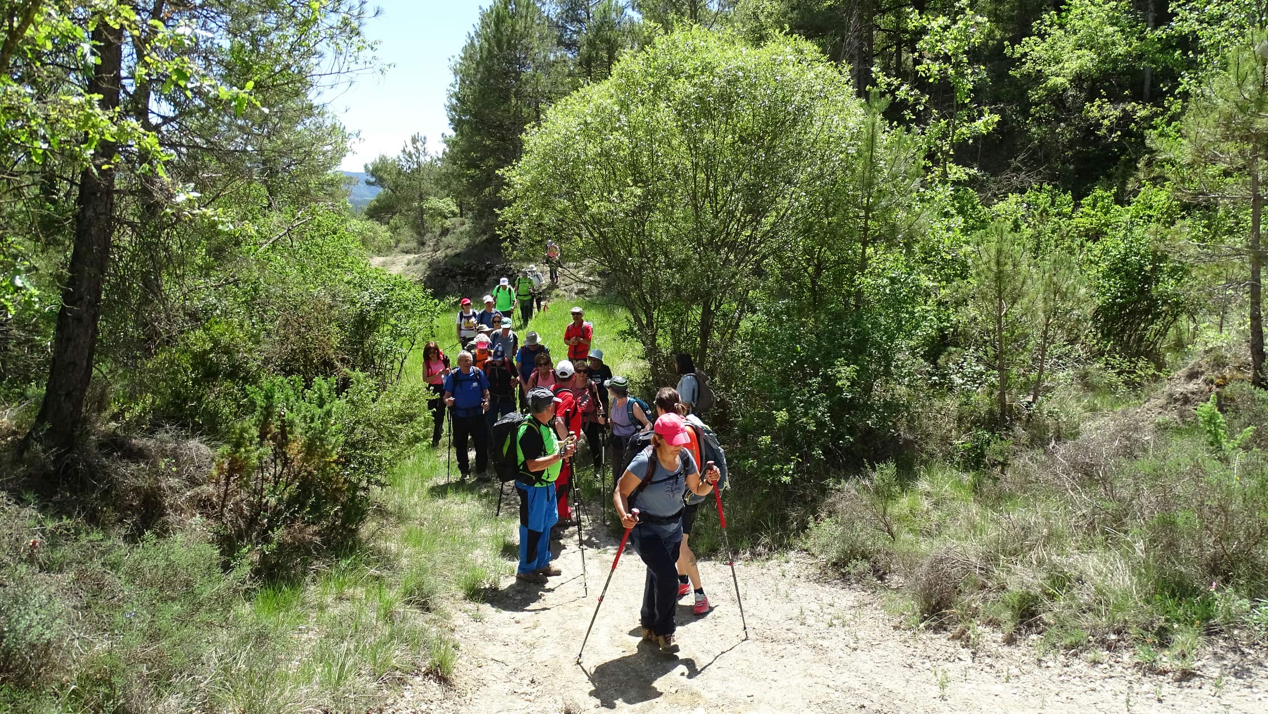 Excursión por el valle de La Fueva. Foto Alfredo Zazo