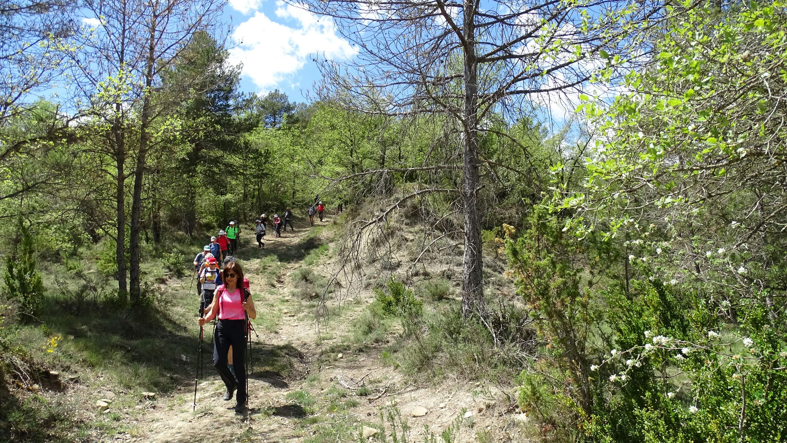 Excursión por el valle de La Fueva. Foto Alfredo Zazo