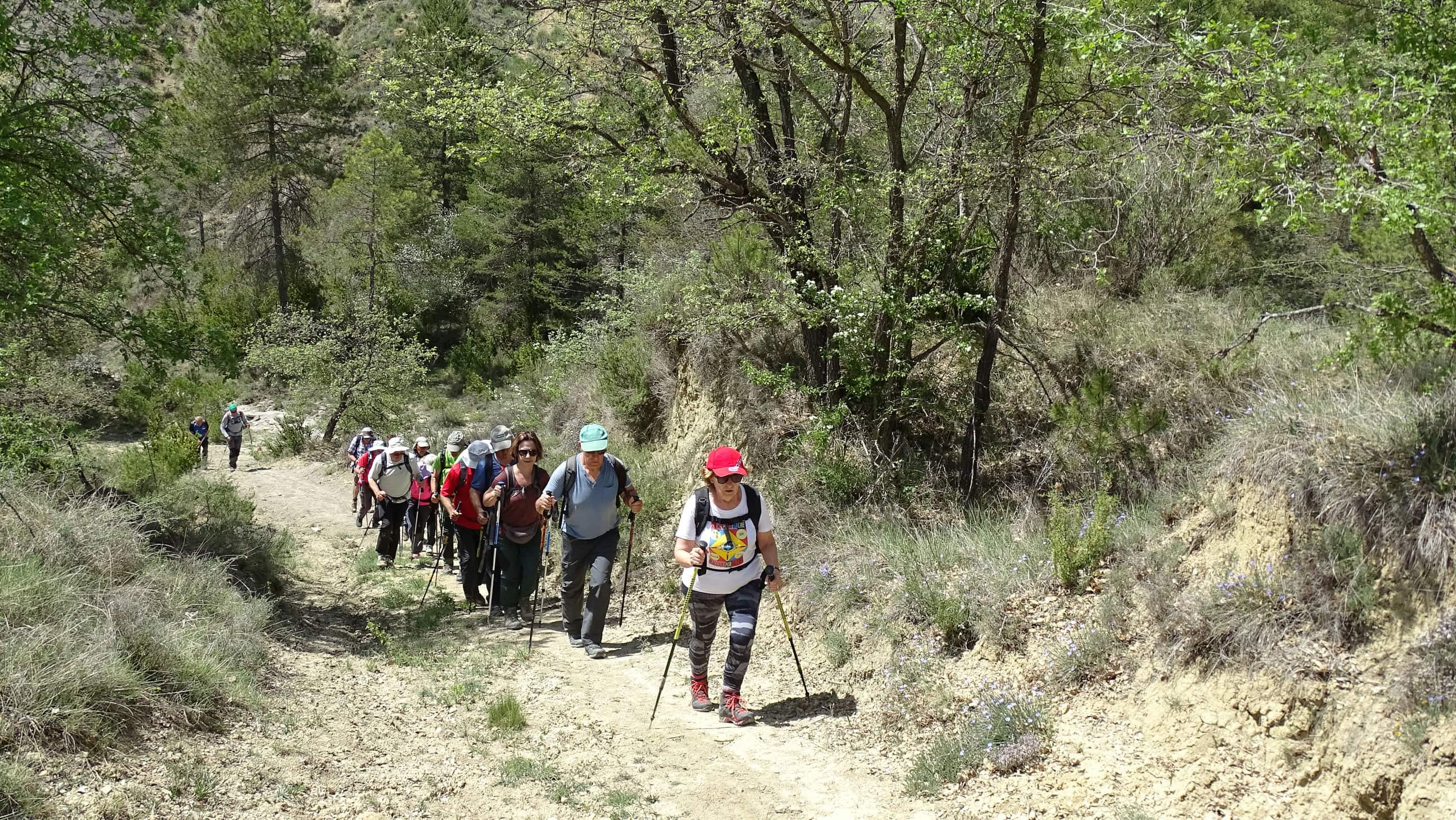 Excursión por el valle de La Fueva. Foto Alfredo Zazo