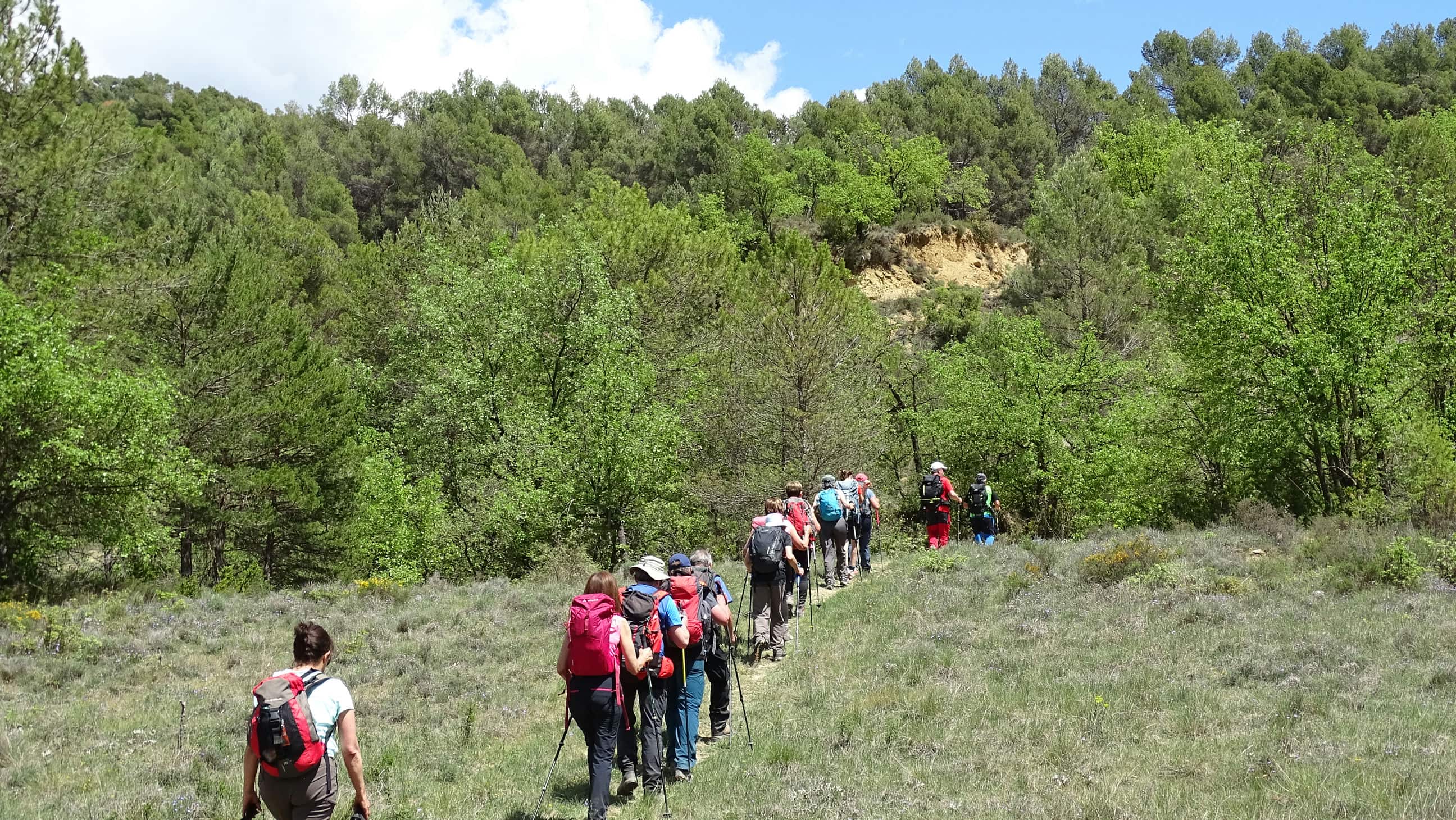 Excursión por el valle de La Fueva. Foto Alfredo Zazo