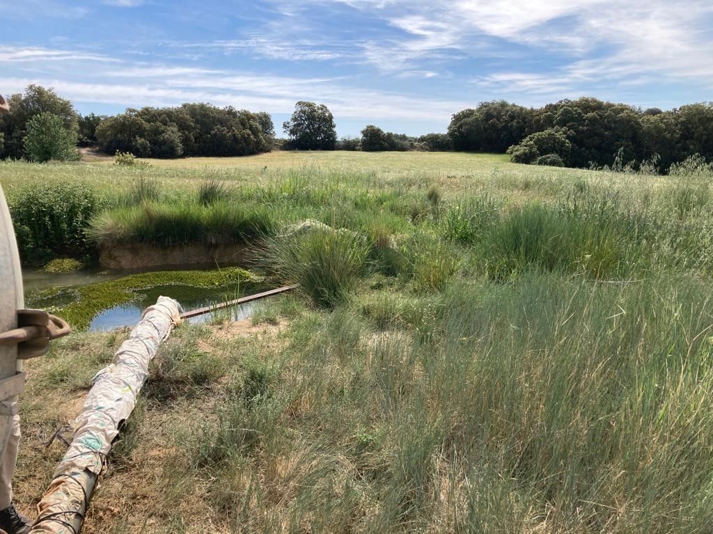Agua embalsada a la que acuden los agricultores tras su fuga de San Julián de Banzo. Foto José Antonio Gracia