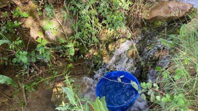 El exceso de vegetación dificulta las mediciones El exceso de vegetación dificulta las mediciones