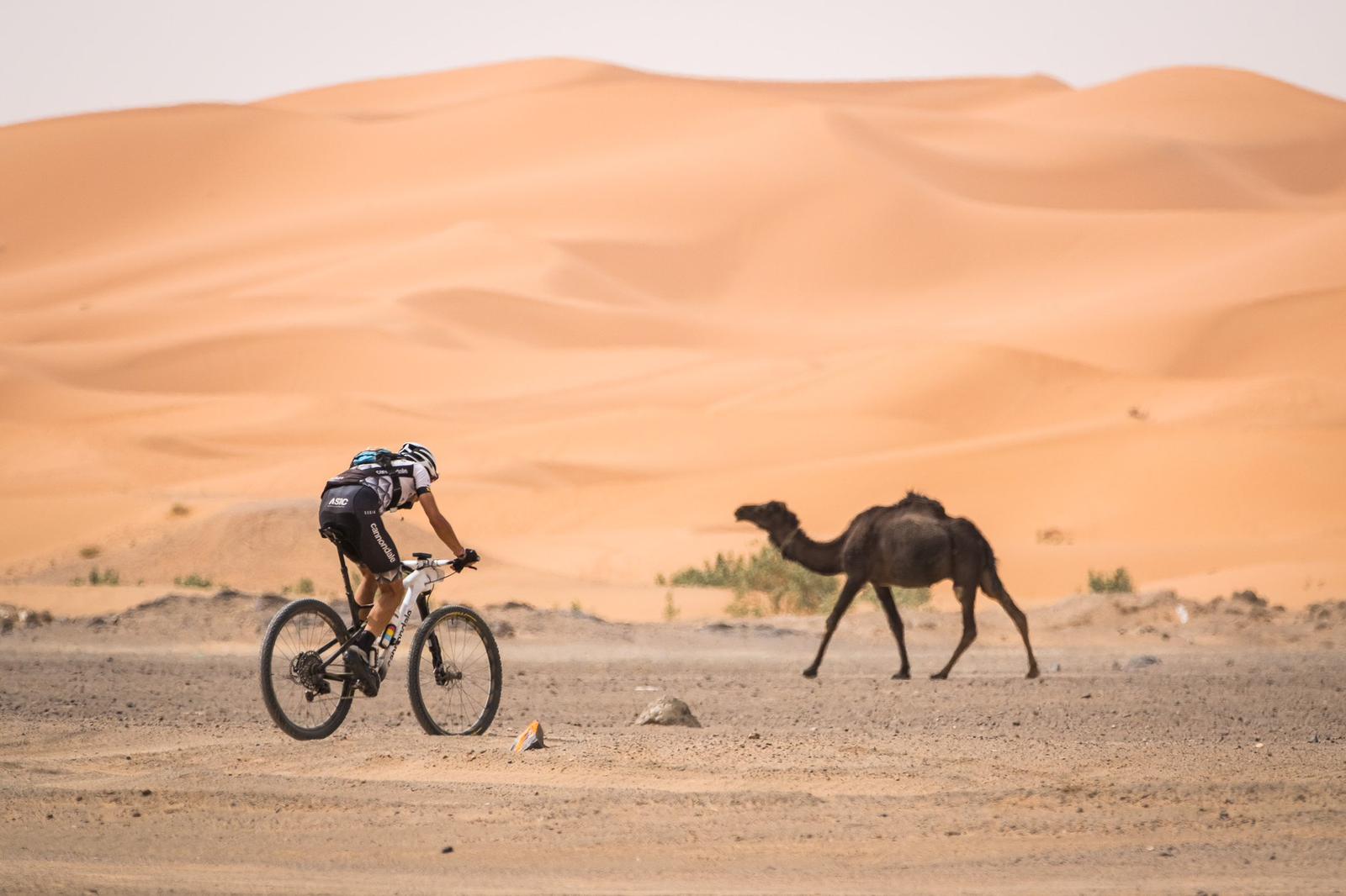 Un momento de la carrera. @TitanDesert