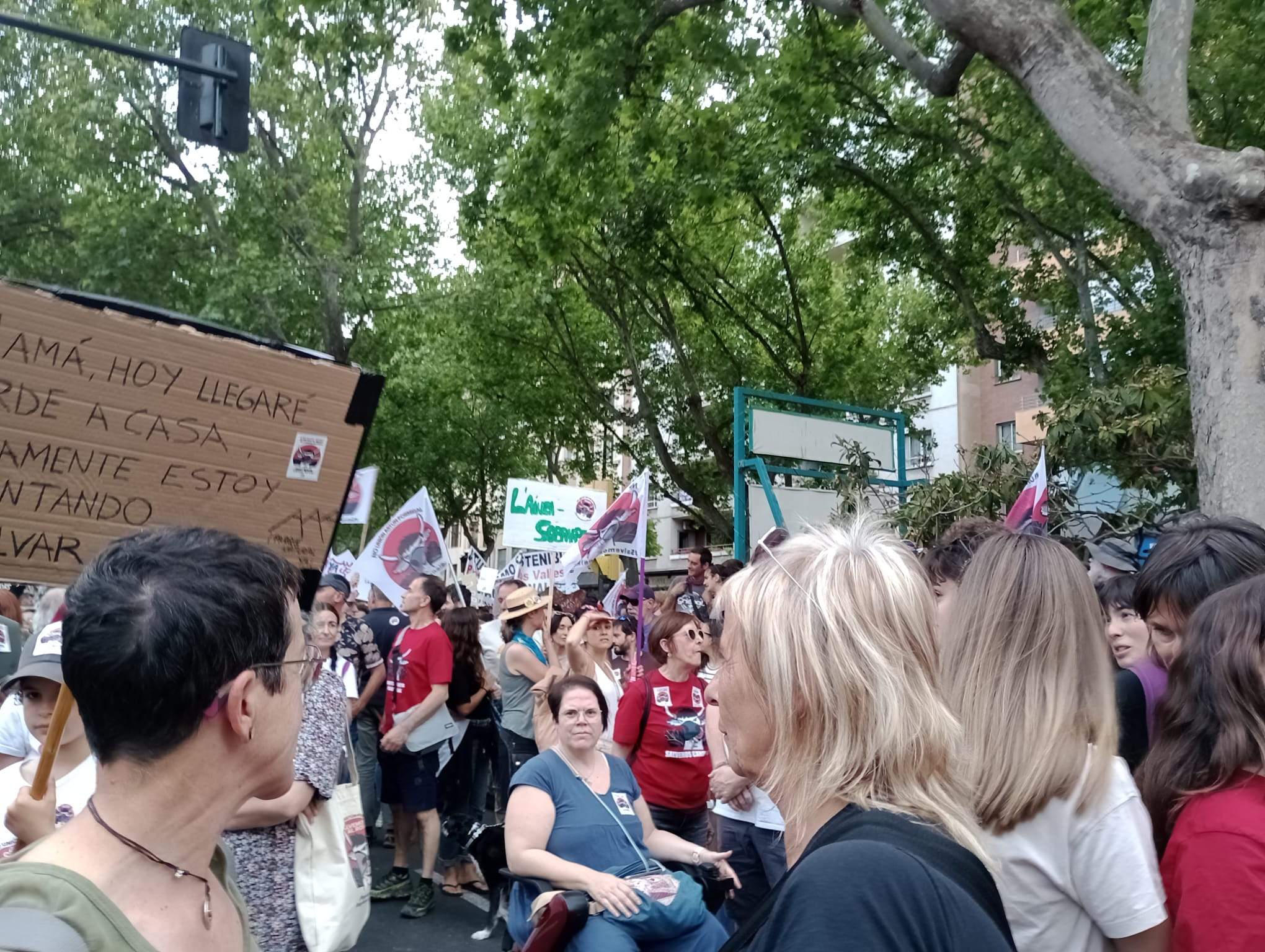 Manifestación en Zaragoza por la protección de Canal Roya. Foto: Isabel Arilla