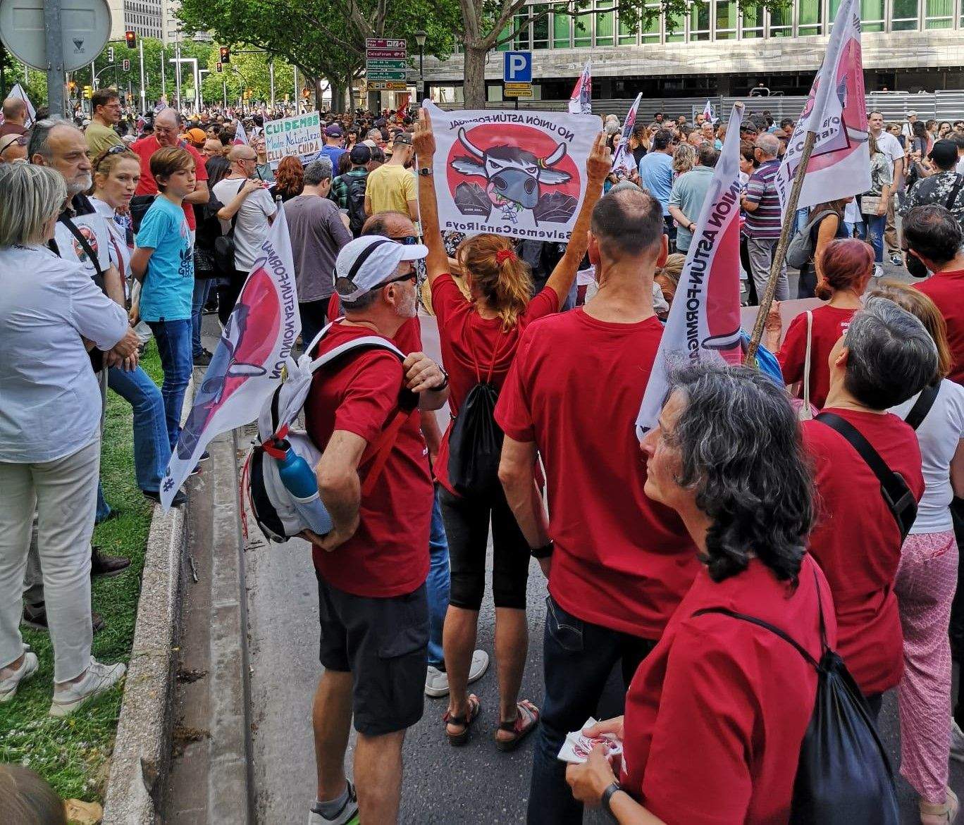 Manifestación en Zaragoza por la protección de Canal Roya. Foto: Marian Bandrés