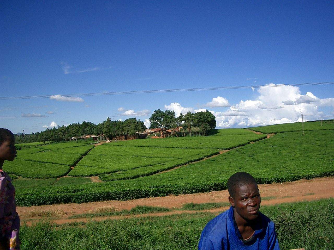 De camino a la frontera