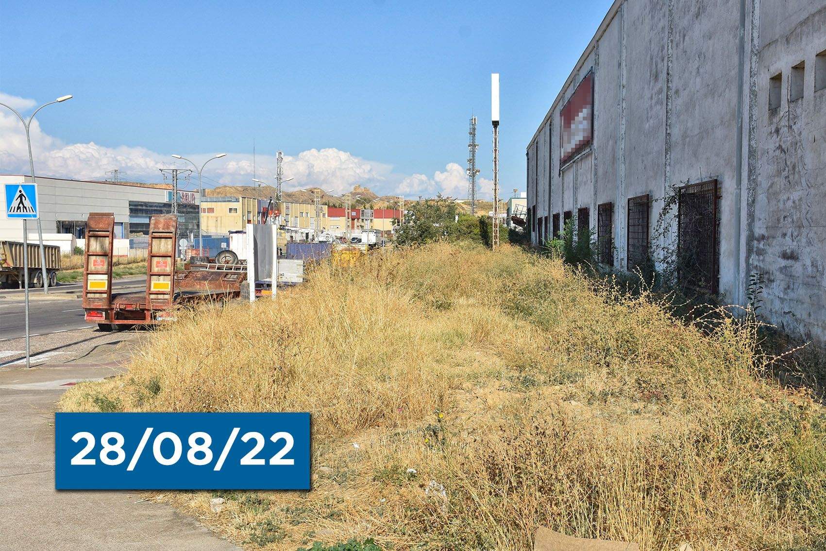 Imagen de maleza en un polígono industrial de Huesca