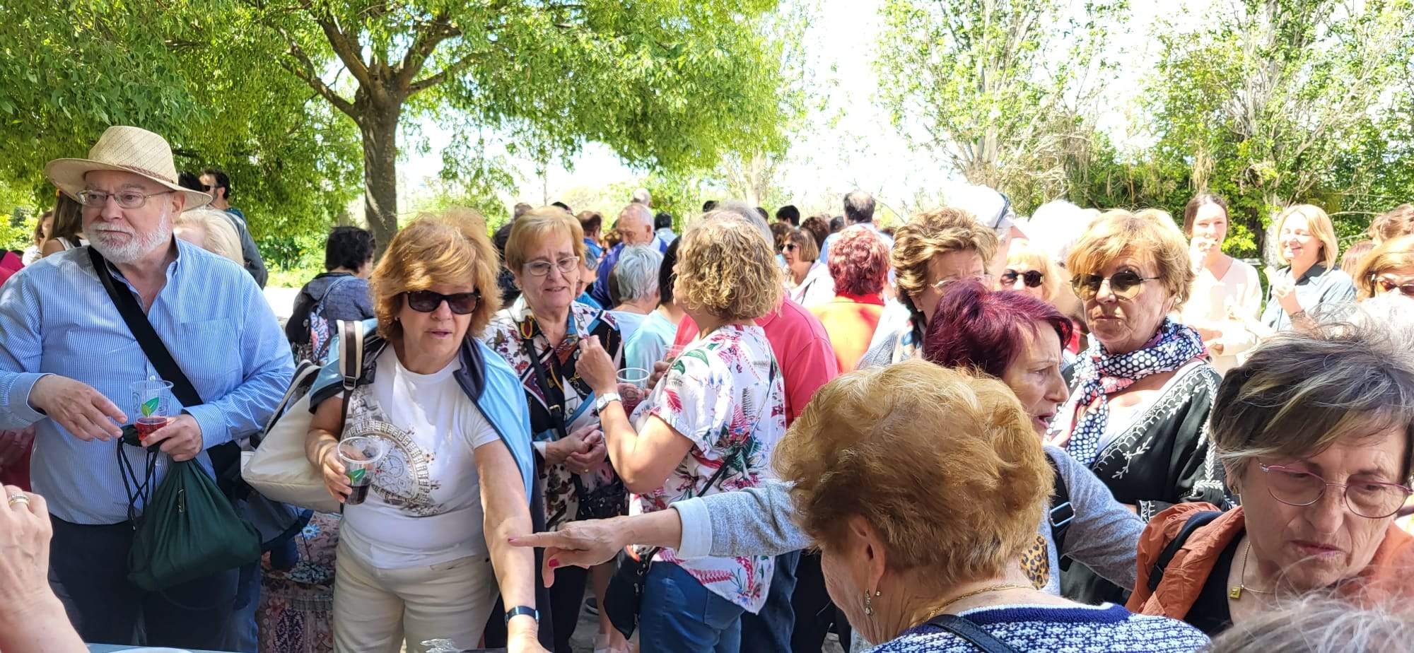 Romería de los Siete Lugares en Loreto