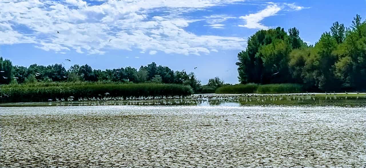 La alberca de Cortés se puede recorrer ahora caminando por su interior. Foto Joaquín Santafé 