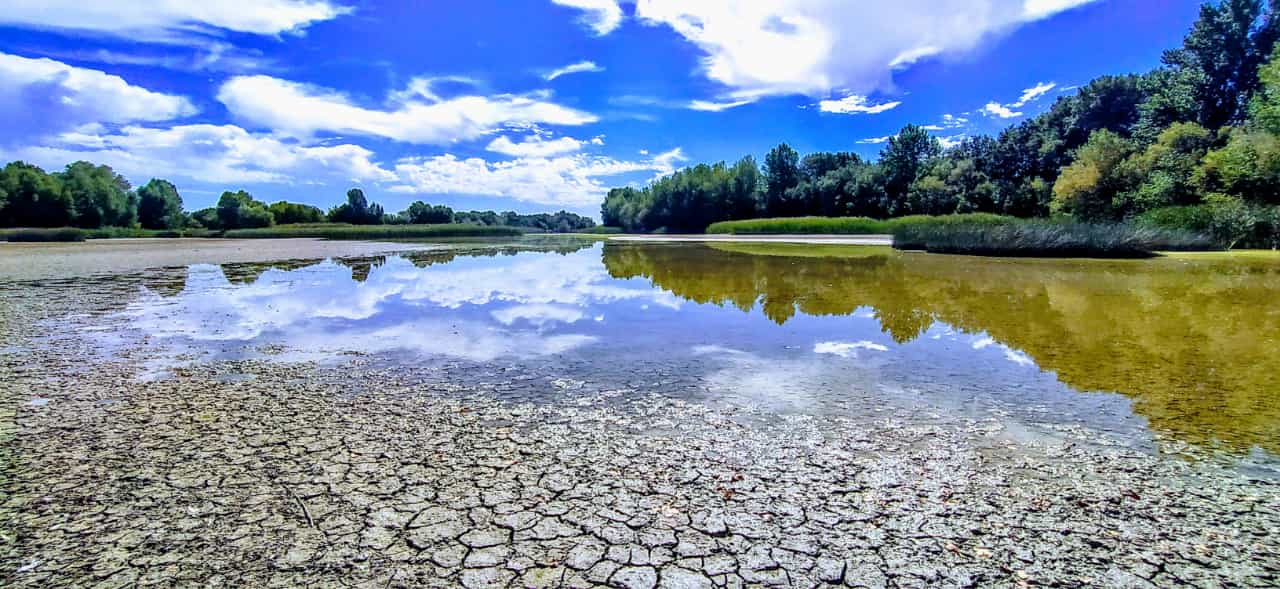 La alberca de Cortés se encuentra a 6 kilómetros de la ciudad de Huesca, en el municipio de Chimillas. Foto Joaquín Santafé