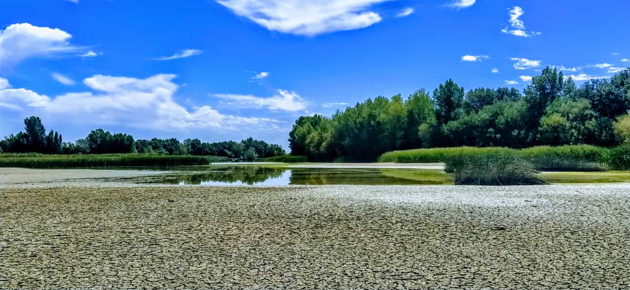 La alberca se limita, en este momento, a un reducto de agua en las proximidades de la presa. Joaquín Santafé.