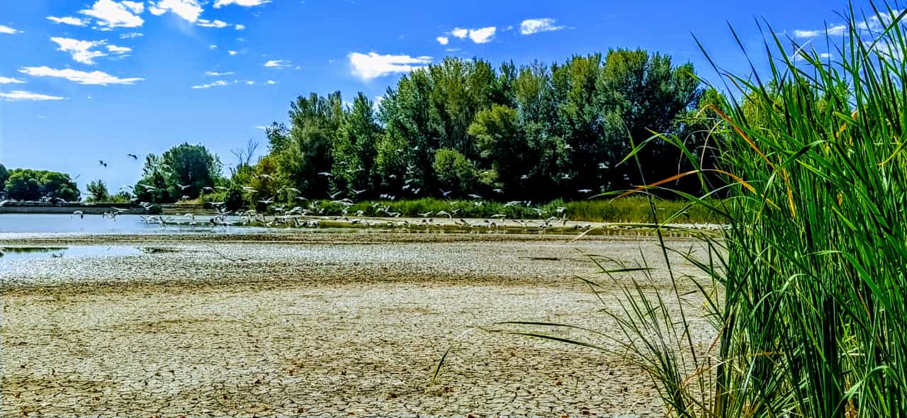 Alberca de Cortés. Foto Joaquín Santafé 