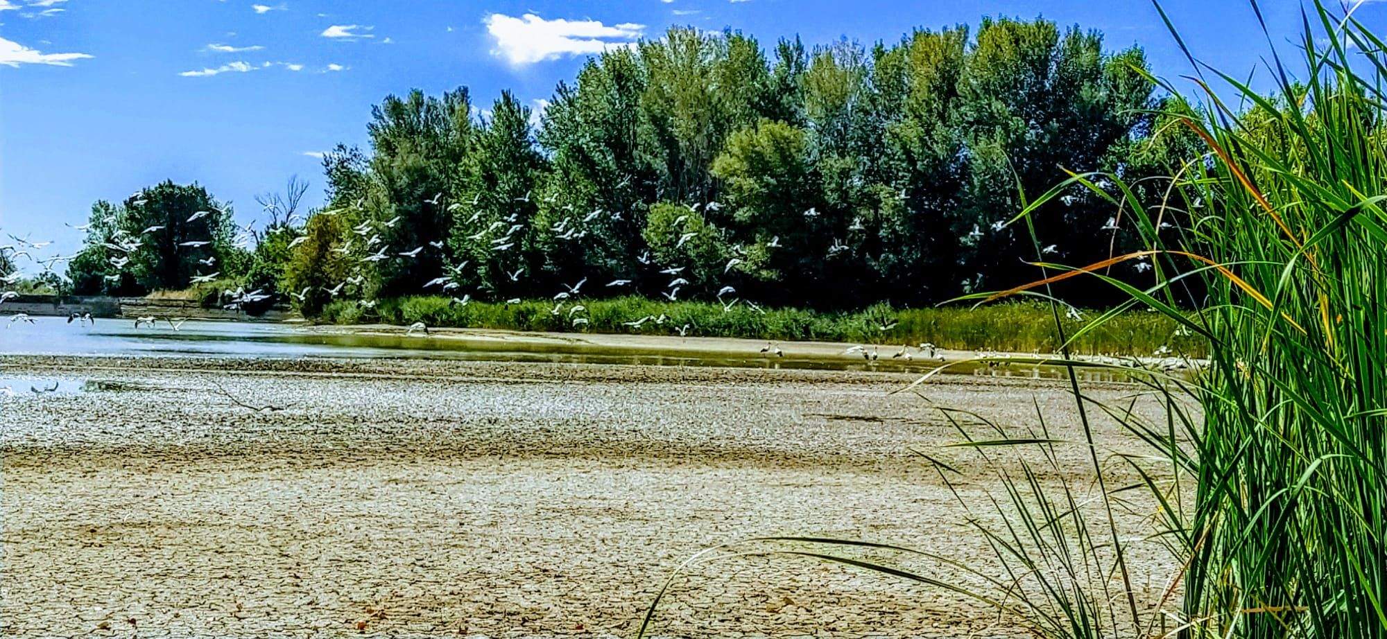 Alberca de Cortés. Foto Joaquín Santafé 