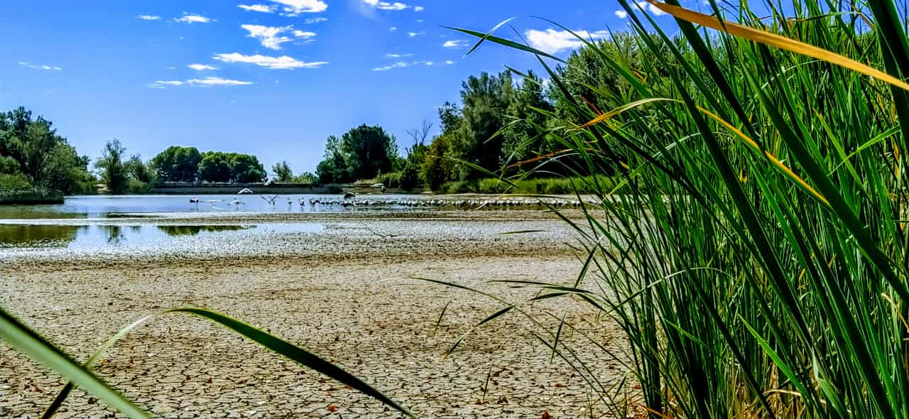 Alberca de Cortés. Foto Joaquín Santafé 