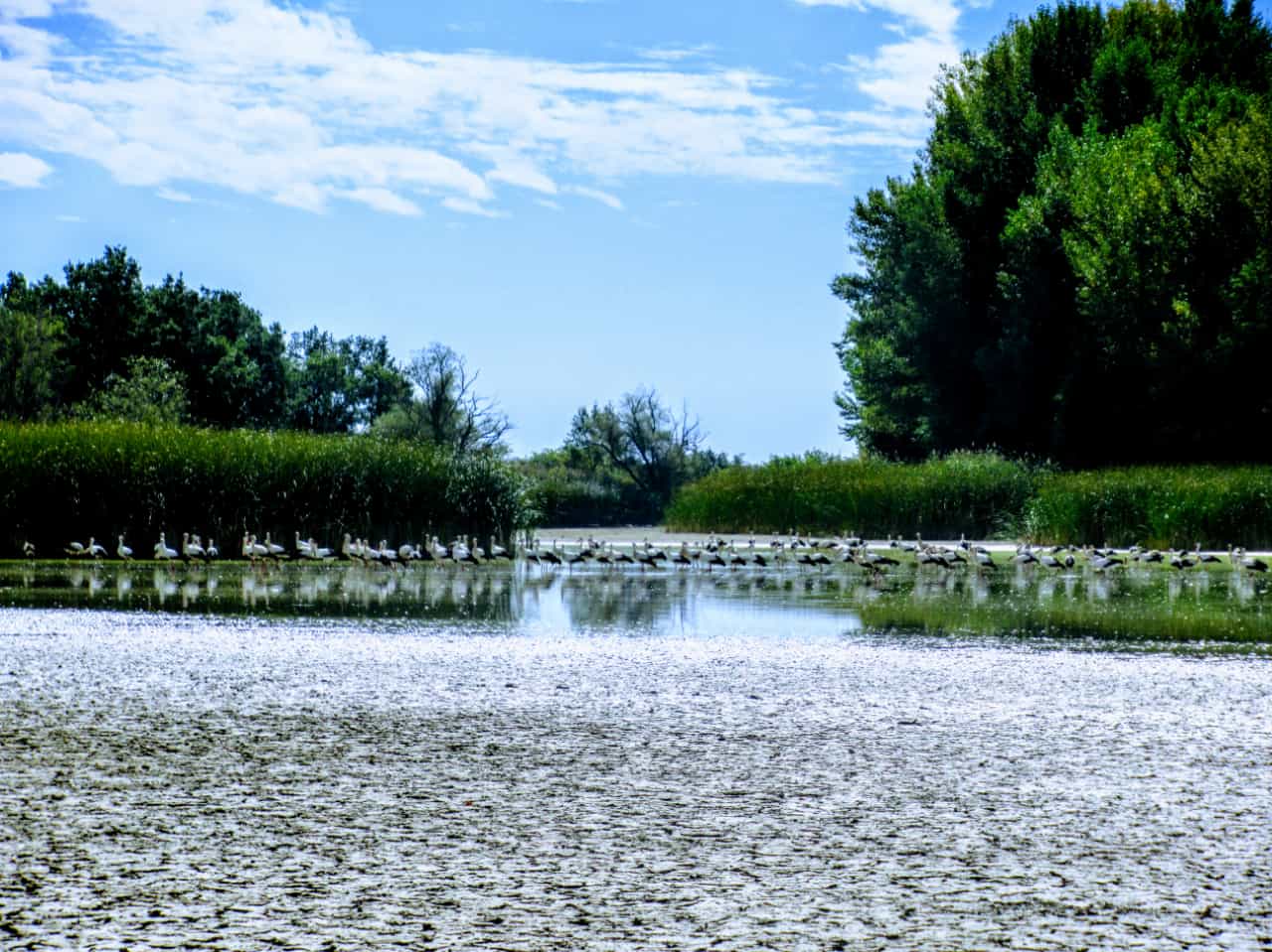 Alberca de Cortés. Foto Joaquín Santafé 