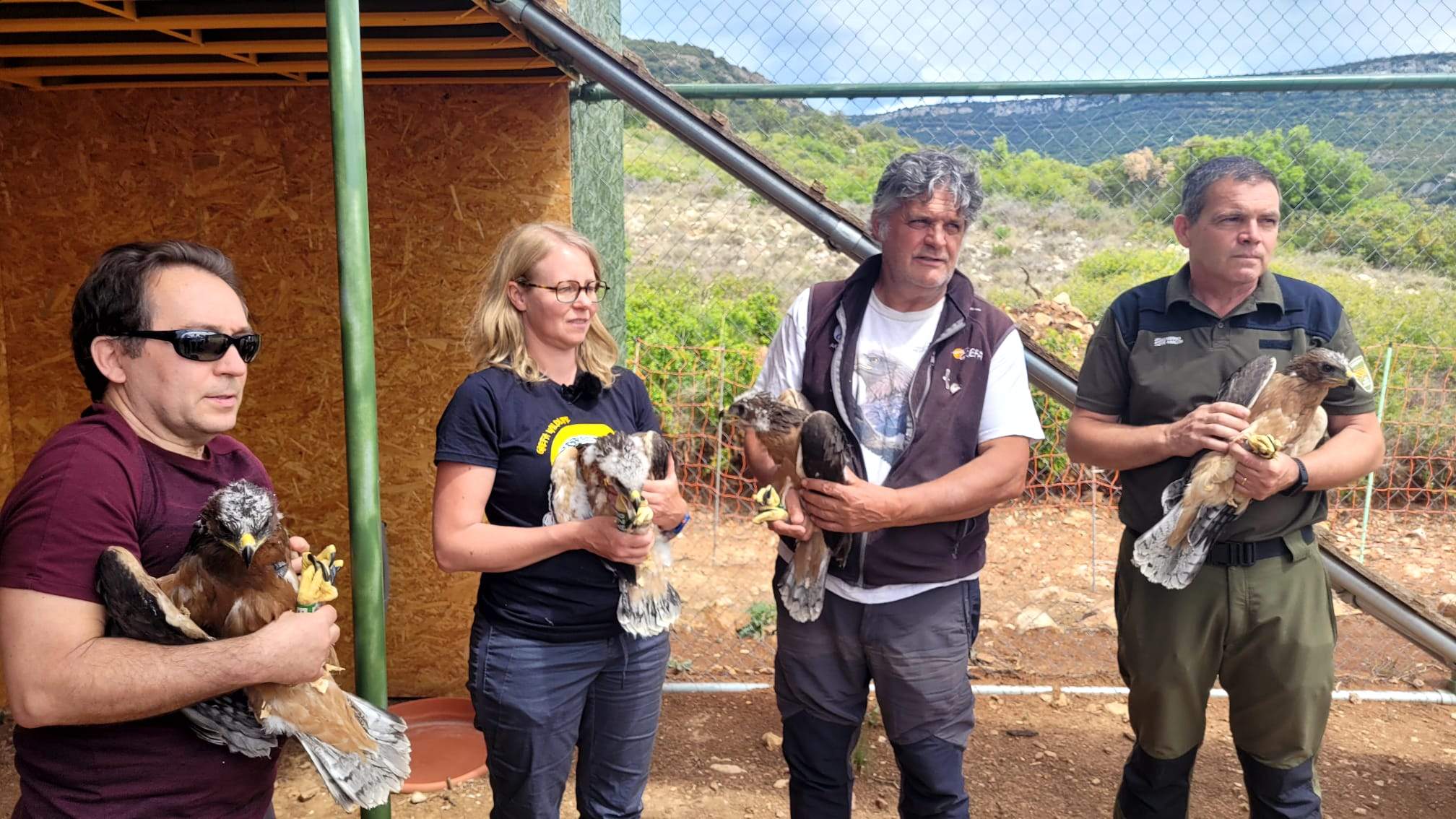 Las cuatro águilas perdiceras con miembros de las organizaciones participantes en el plan de reintroducción.