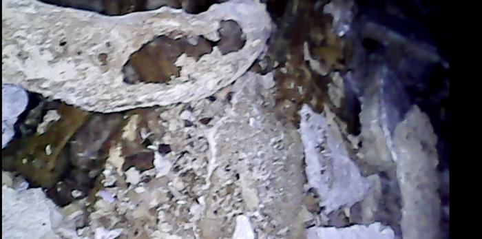 Interior del ataúd de Barbuñales