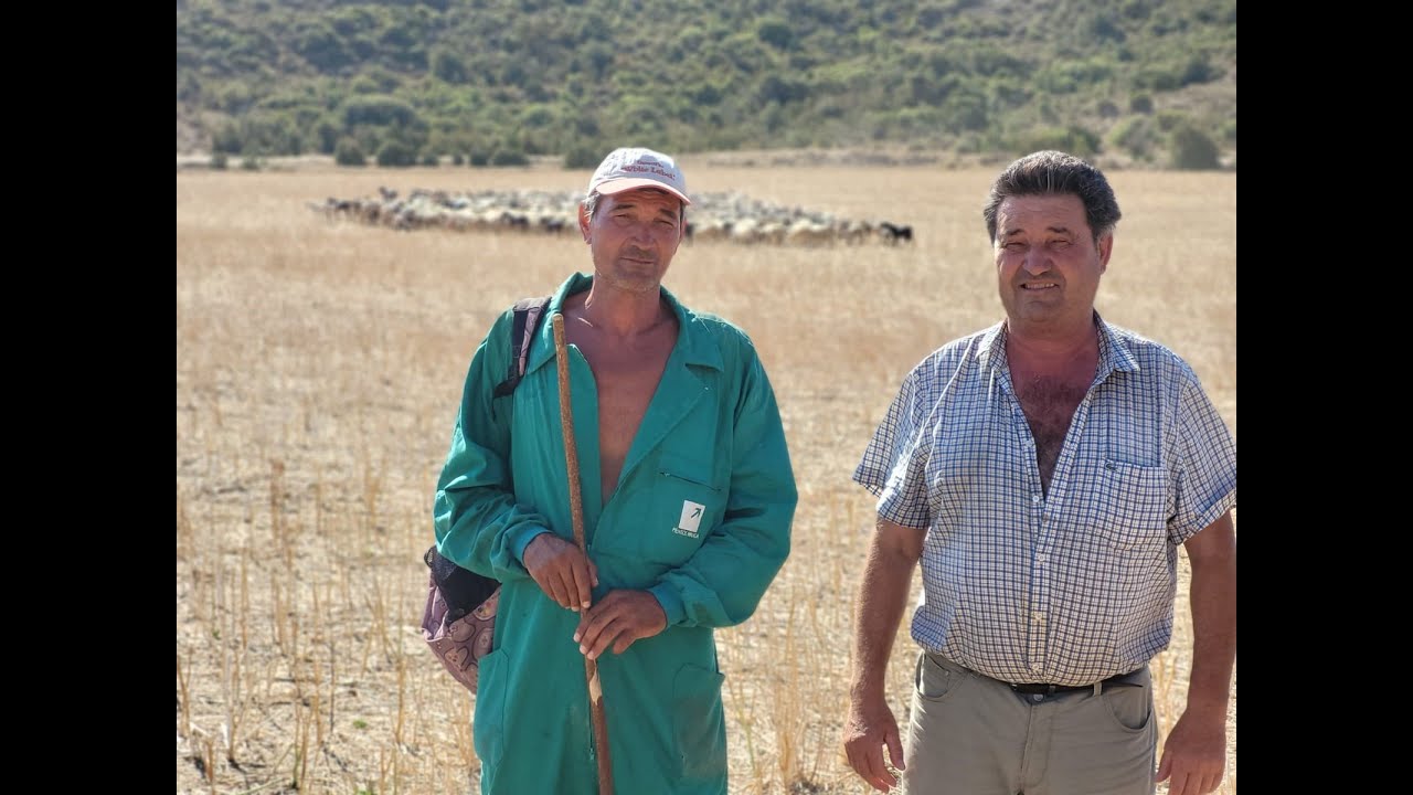 Demetrio e Isidro Ara, pastor y ganadero, con el rebaño de cabras y ovejas al fondo.