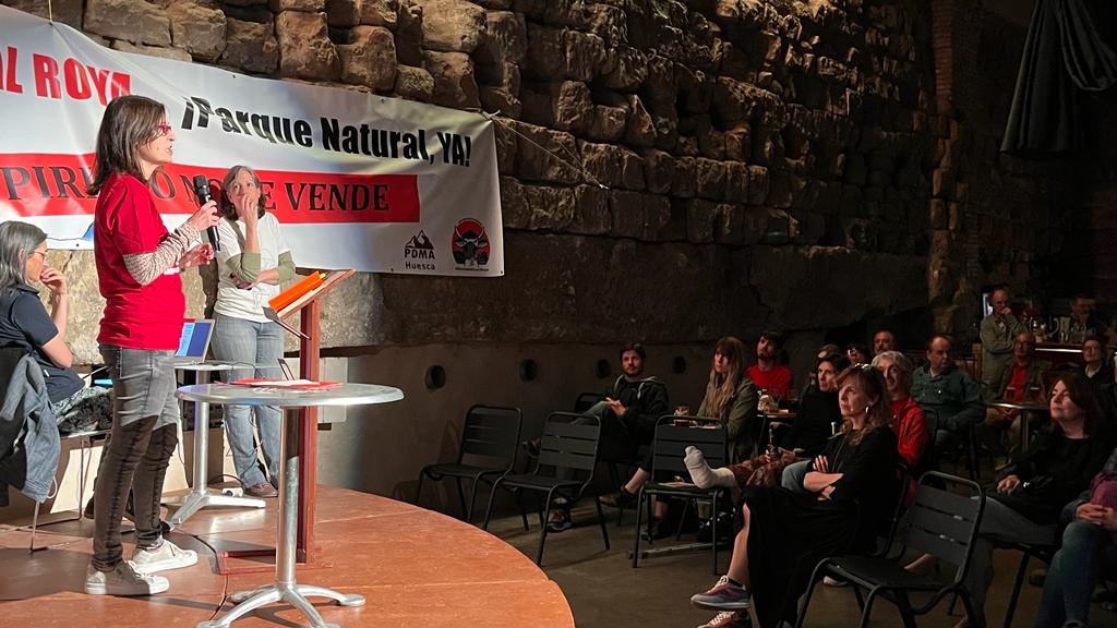 Subasta "Arte a precio de fortfait" en defensa de Canal Roya.