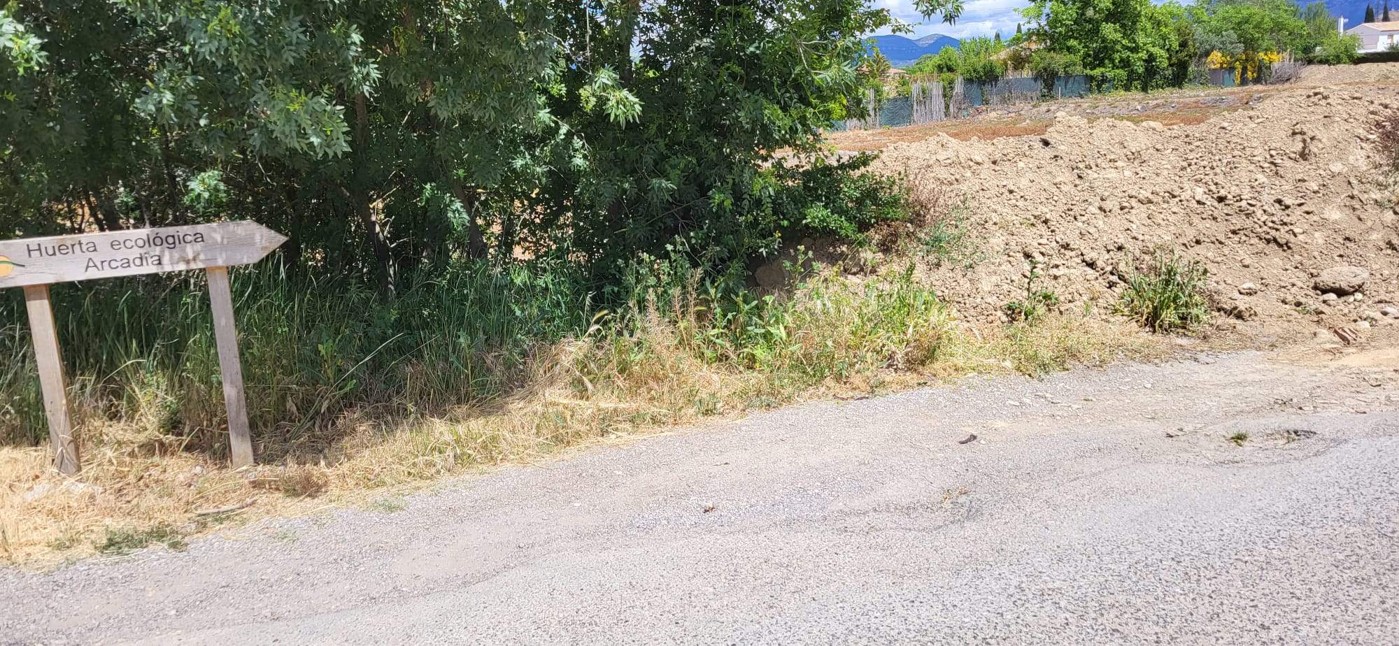 Un paseo por el Camino de Cillas lleno de baches