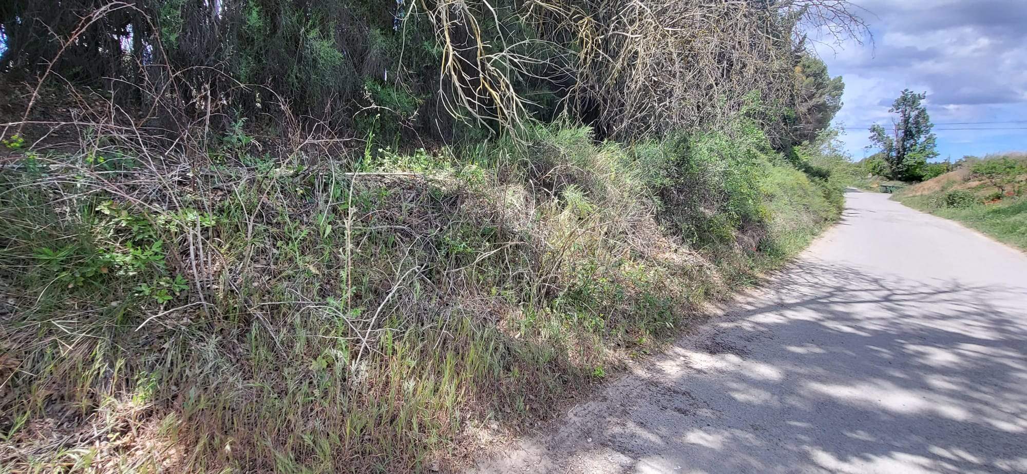 Un paseo por el Camino de Cillas lleno de baches