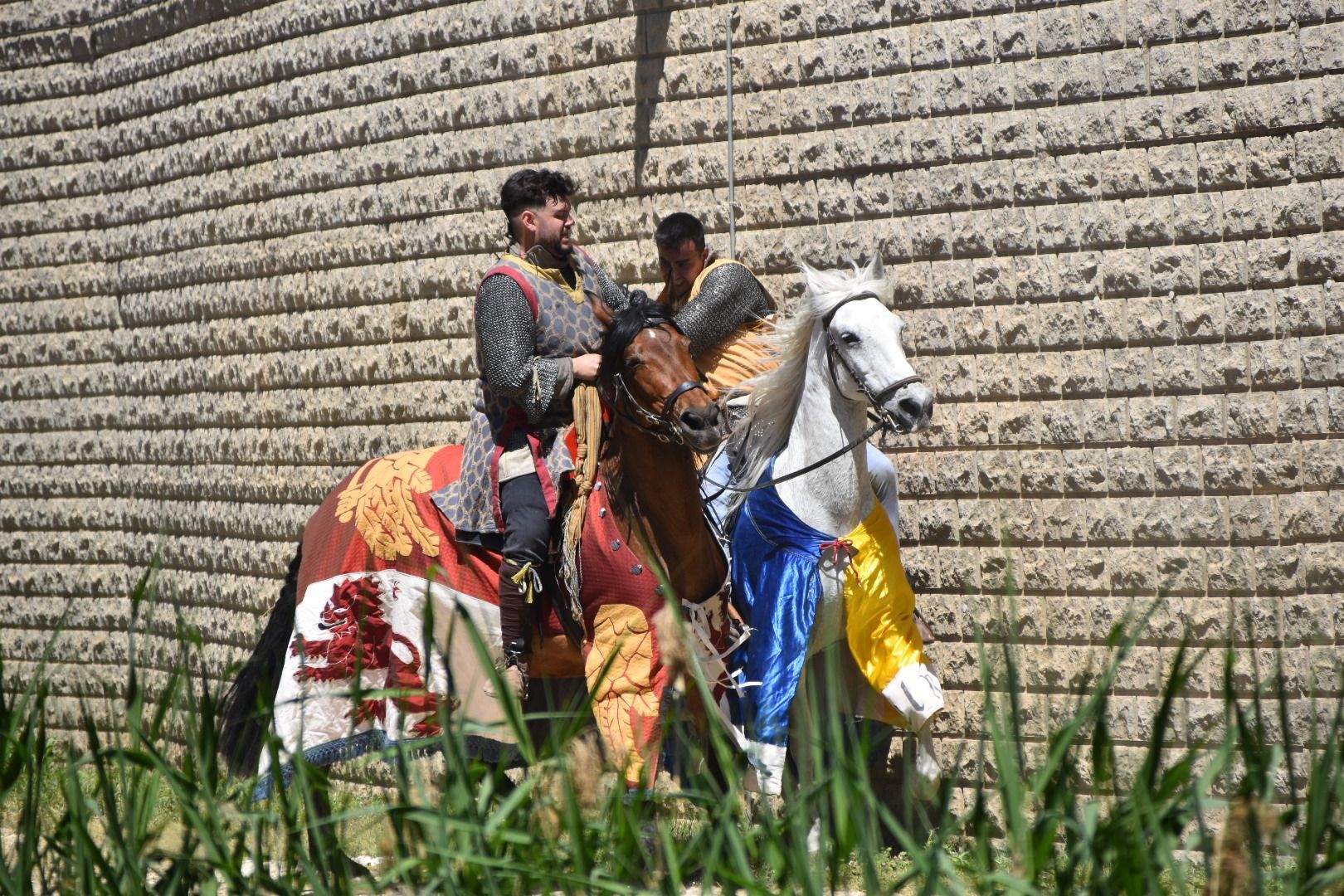 Torneo Medieval de Mont-rodon