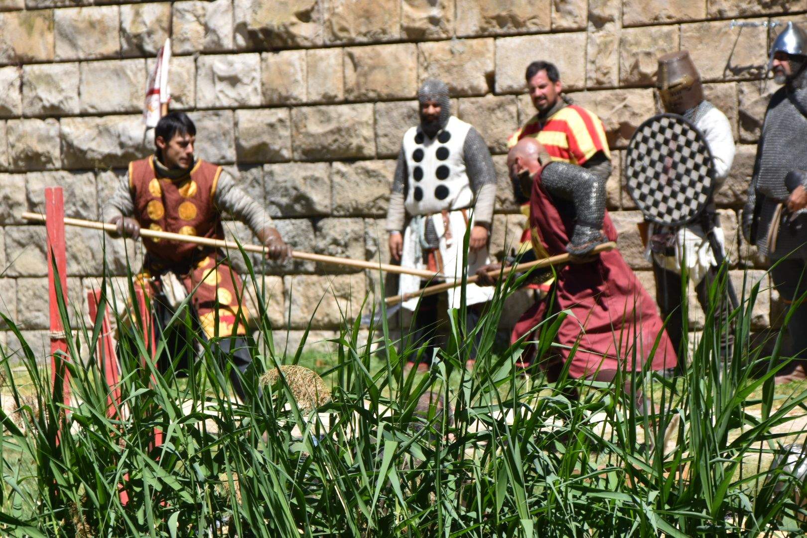 Torneo Medieval de Mont-rodon