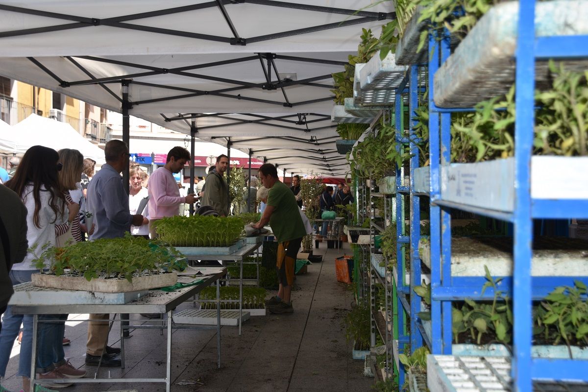 Fiesta del plantero celebrada en Barbastro