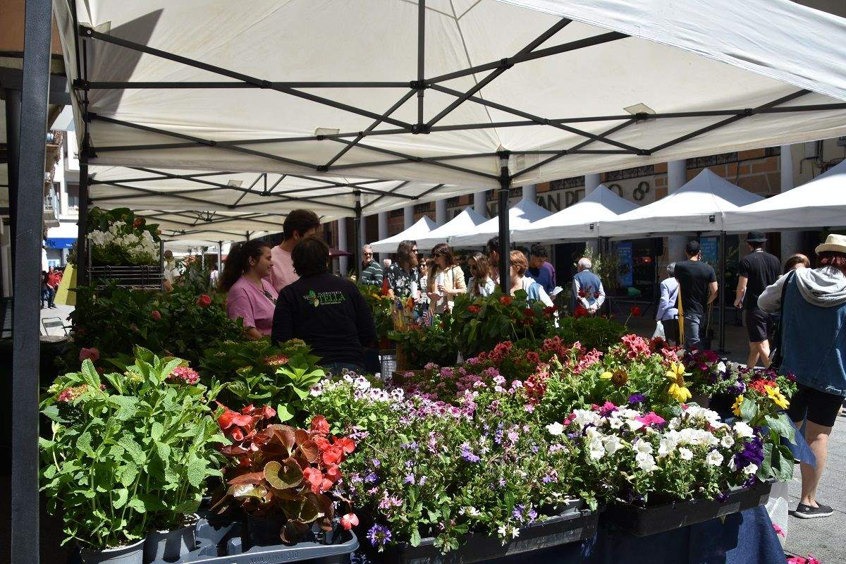 Fiesta del plantero celebrada en Barbastro