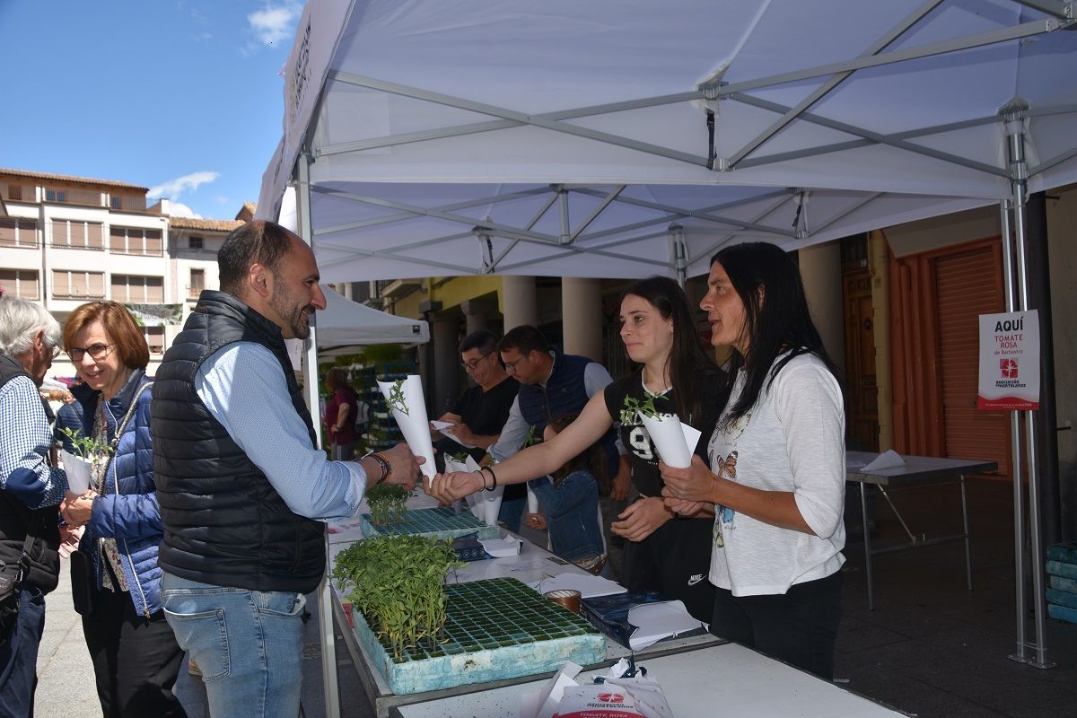 Fiesta del plantero celebrada en Barbastro