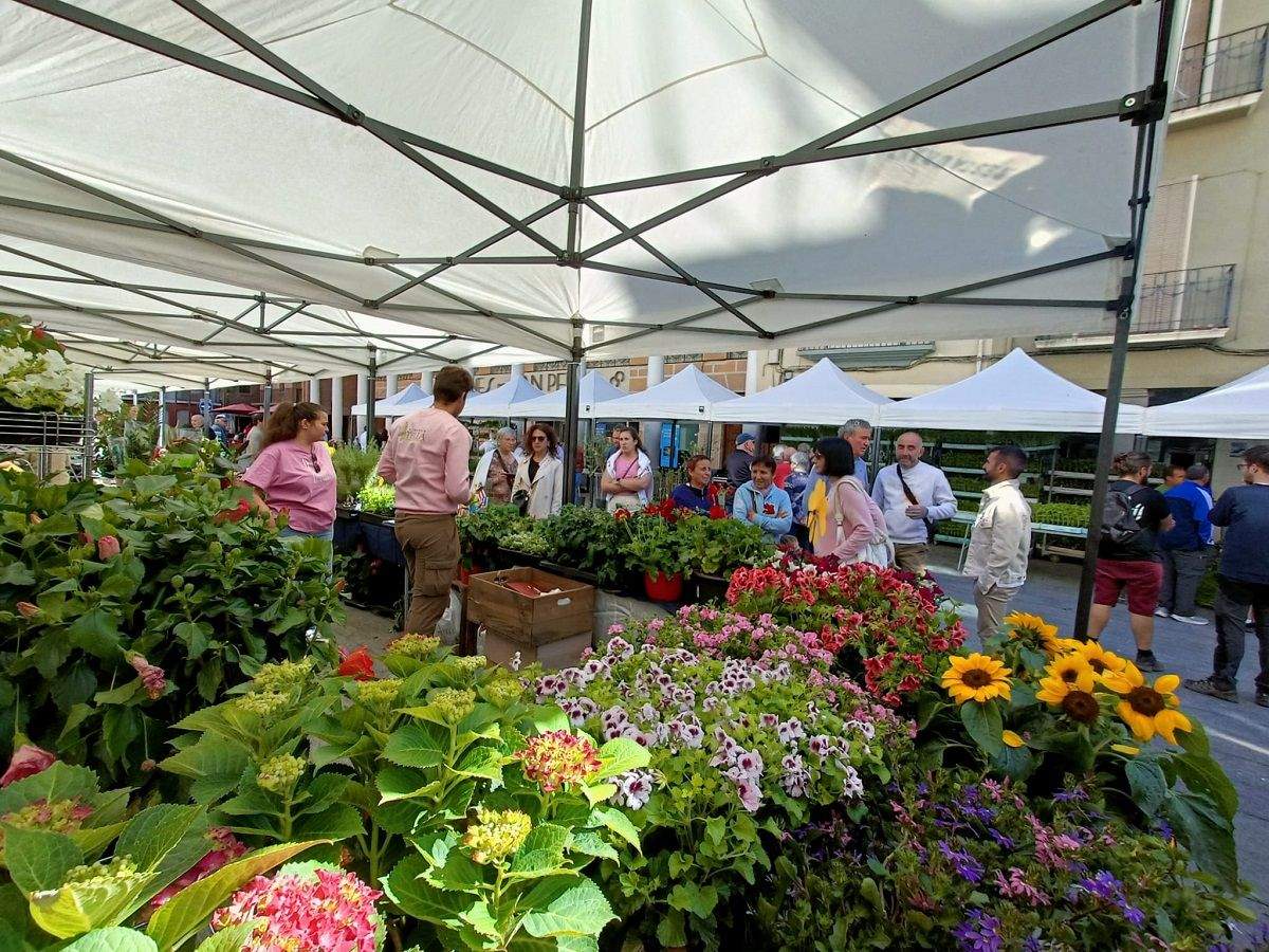 Fiesta del plantero celebrada en Barbastro