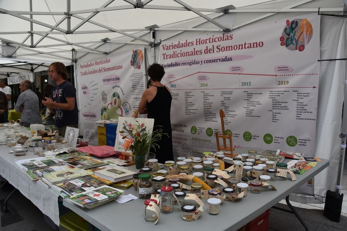 Fiesta del plantero celebrada en Barbastro