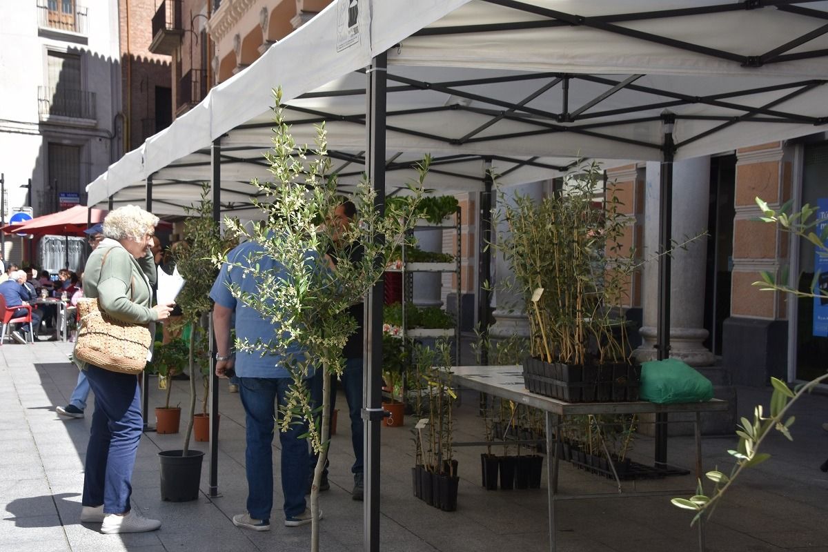Fiesta del plantero celebrada en Barbastro