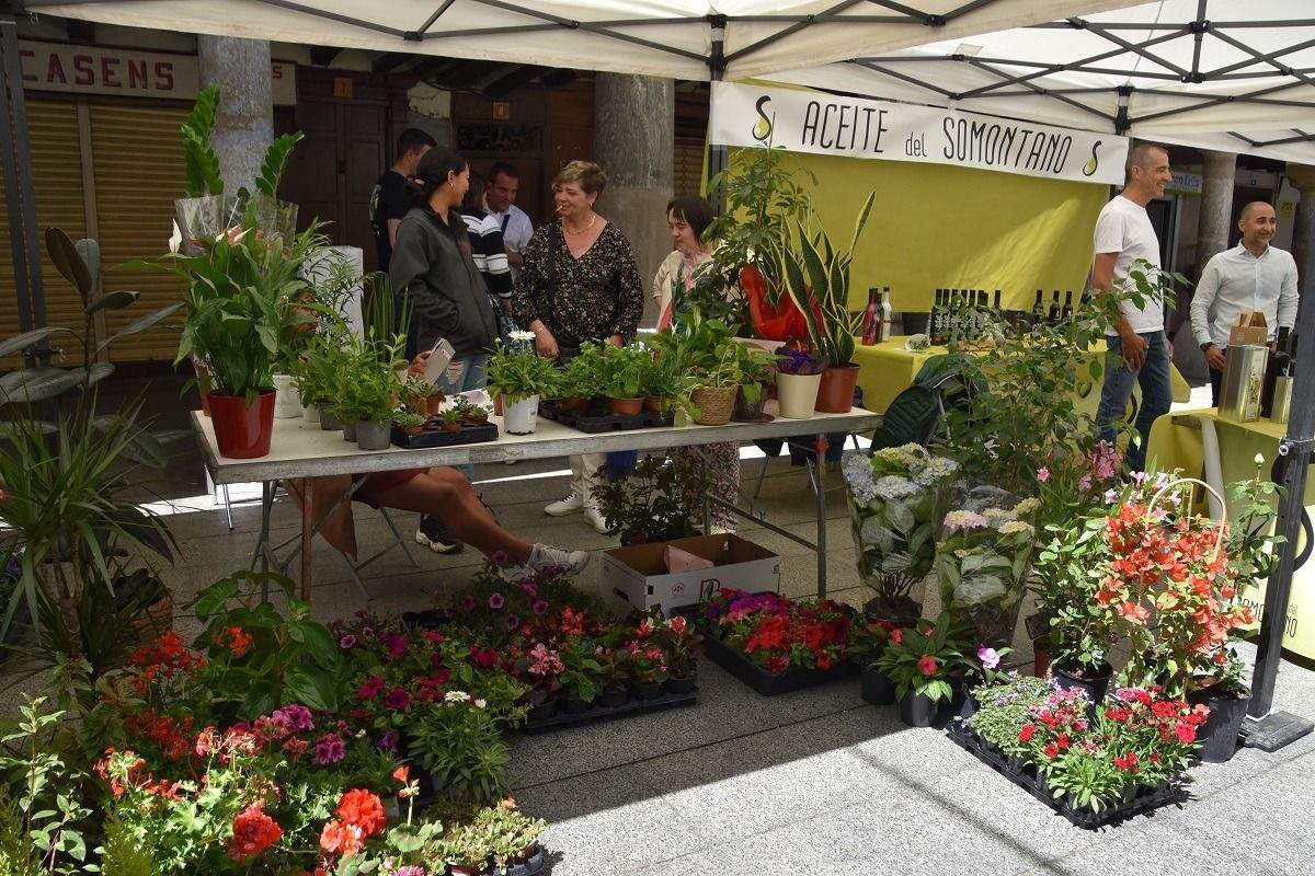 Fiesta del plantero celebrada en Barbastro