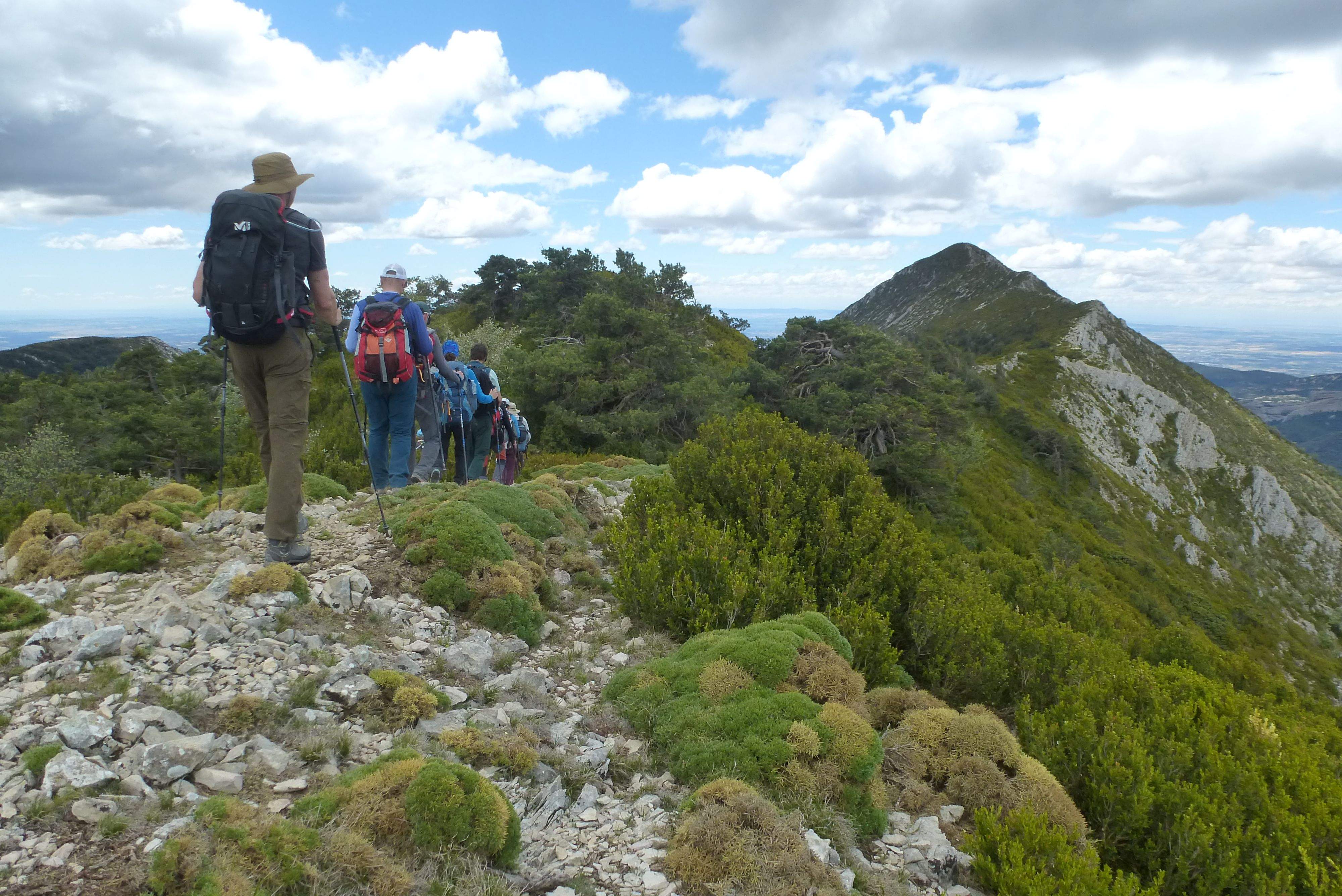 Camino al Fragineto. Foto Lola Mas