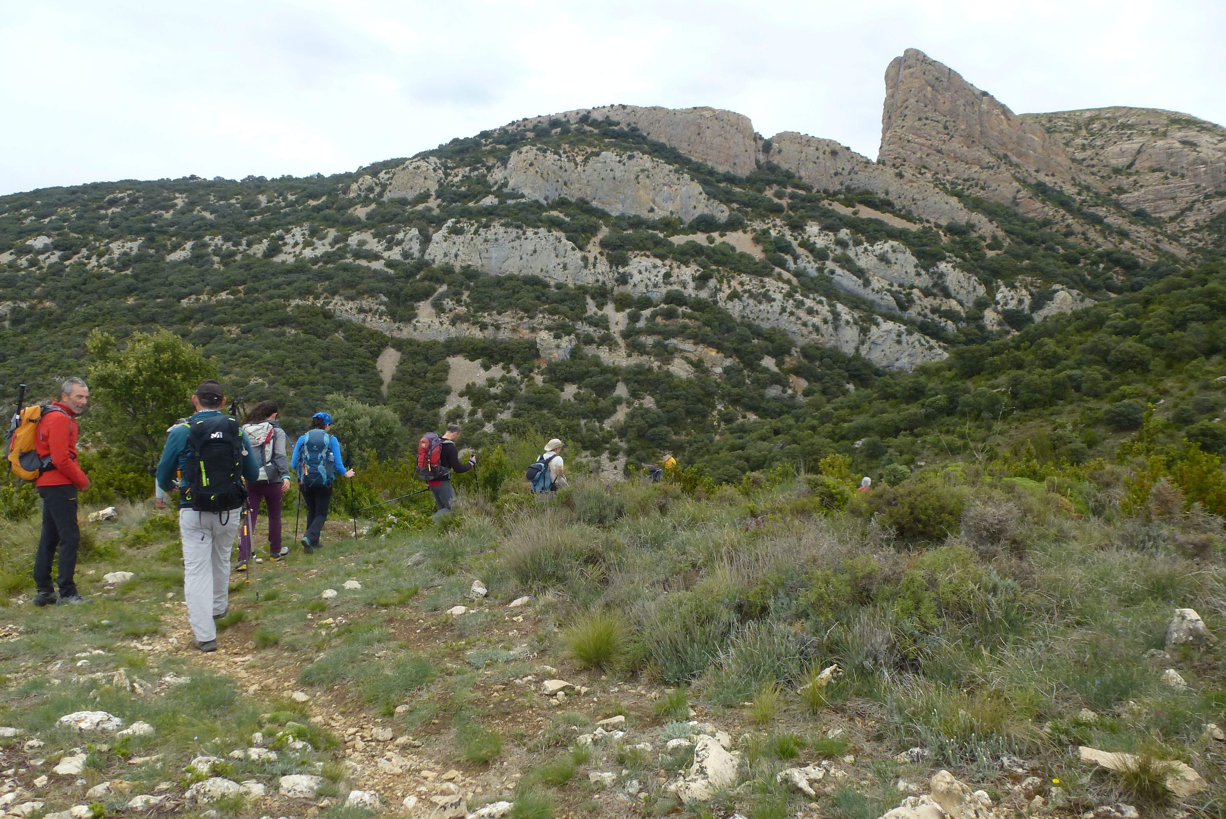 Camino del Picón. Foto Lola Mas