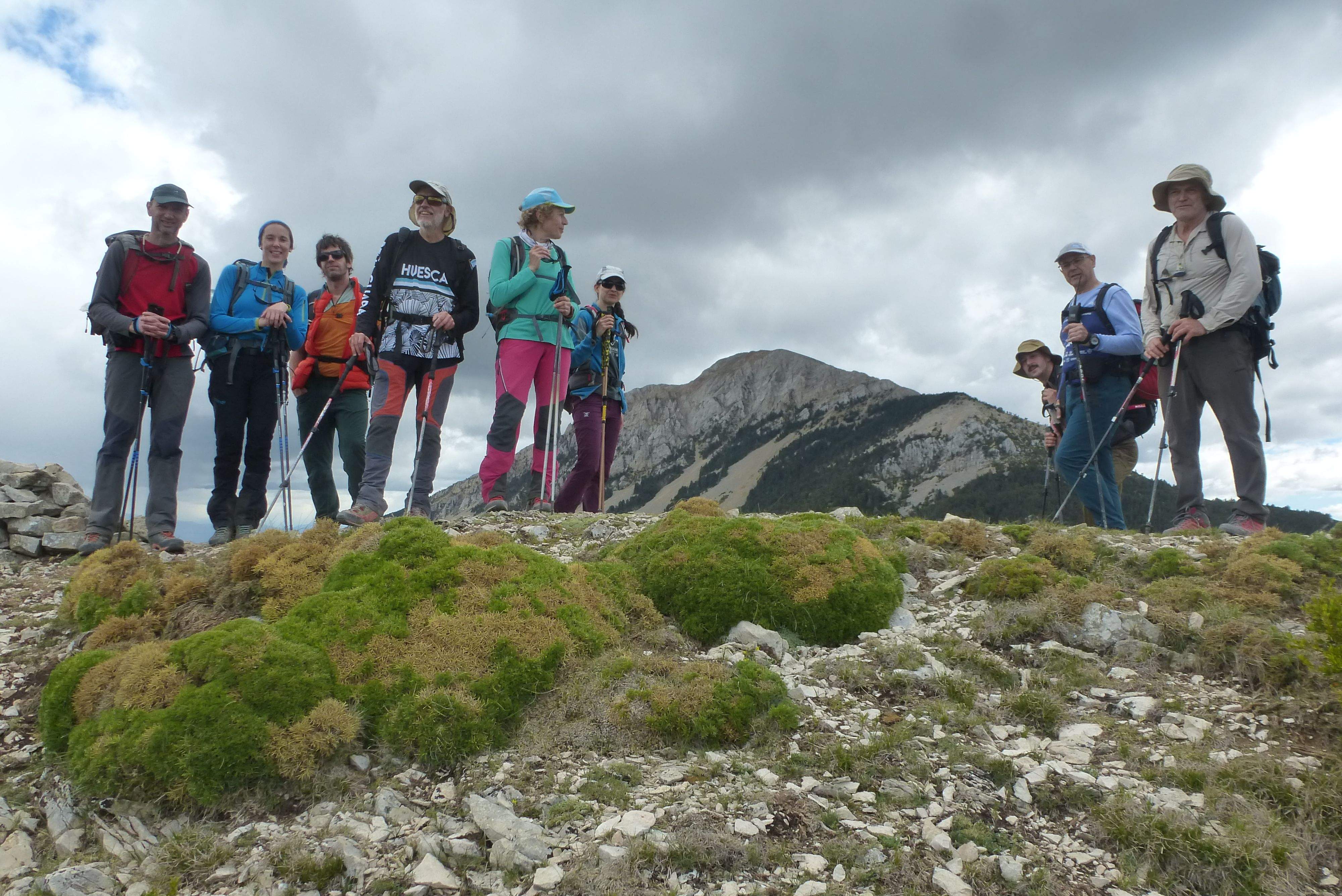 Guara detrás. Foto Lola Mas