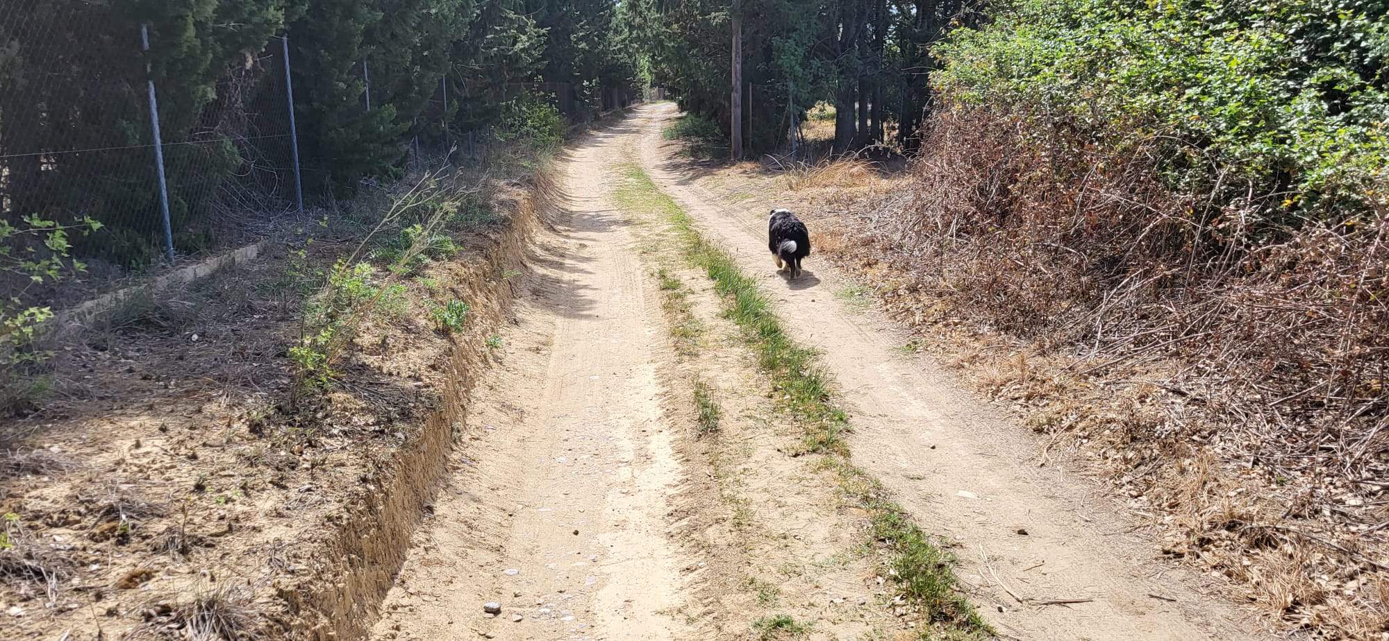 Un recorrido por el Camino de Miquera en Huesca