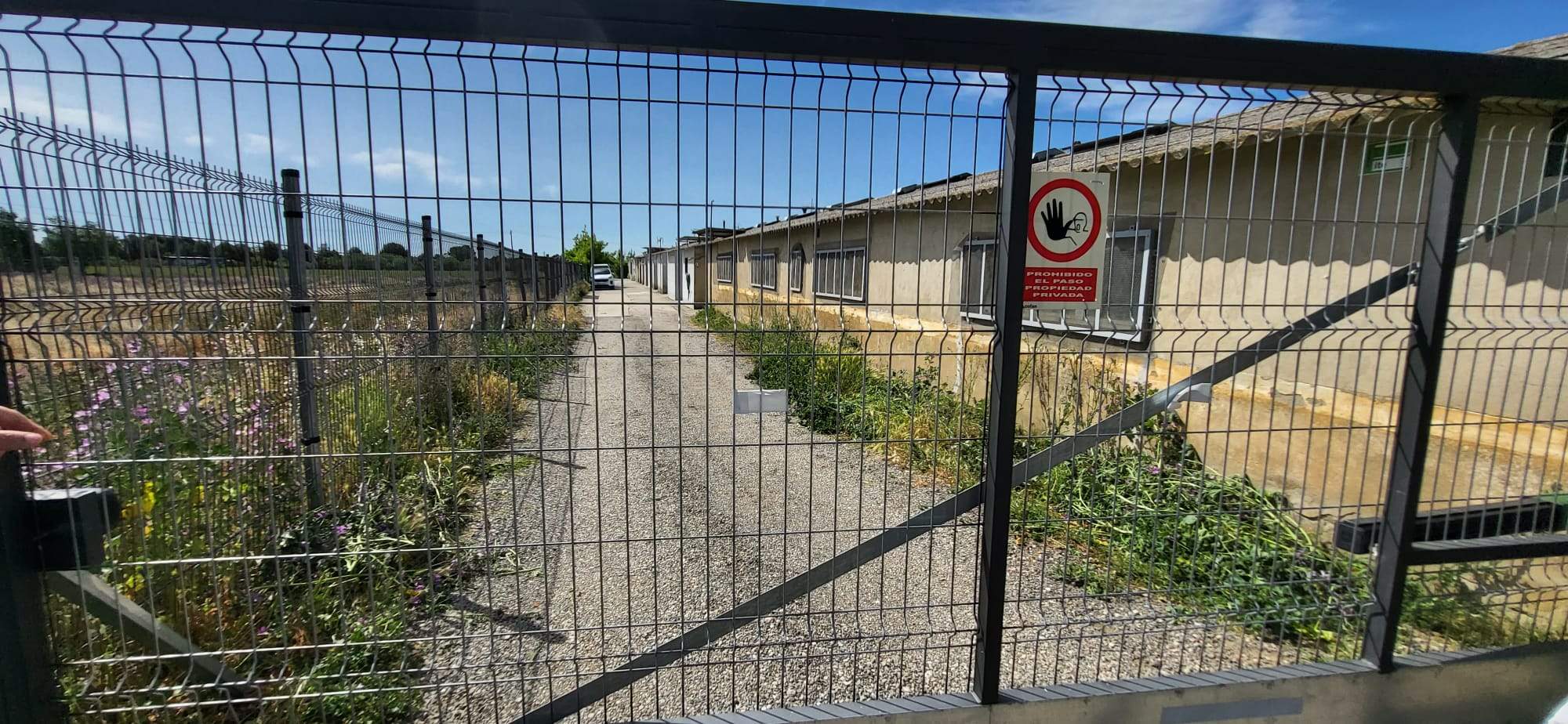 Un recorrido por el Camino de Miquera en Huesca