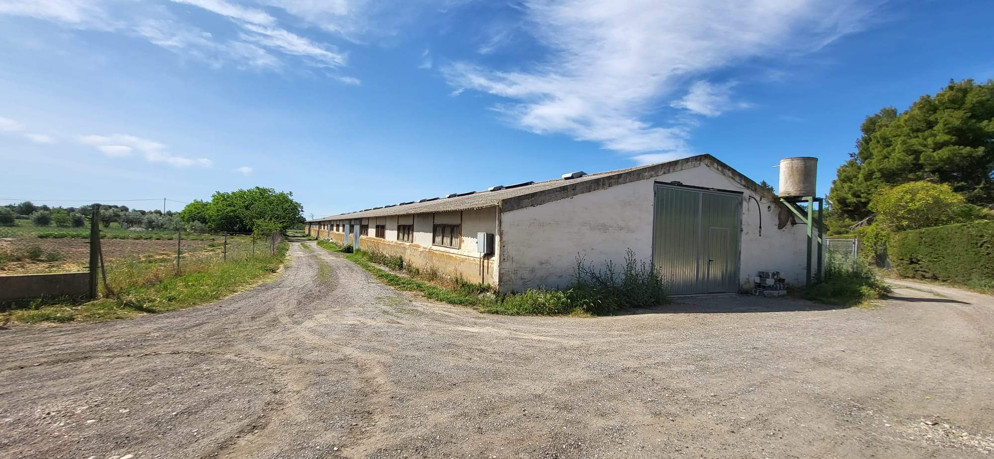 Un recorrido por el Camino de Miquera en Huesca