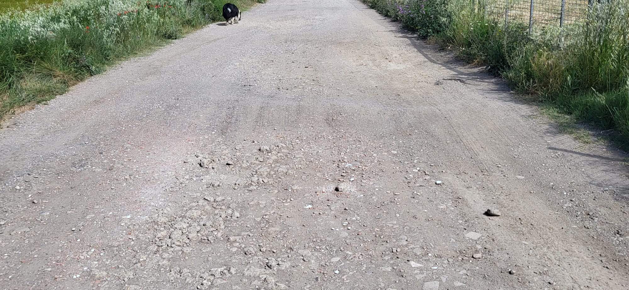 Un recorrido por el Camino de Miquera en Huesca