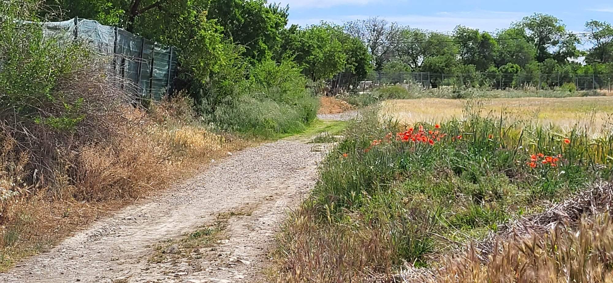 Un recorrido por el Camino de Miquera en Huesca